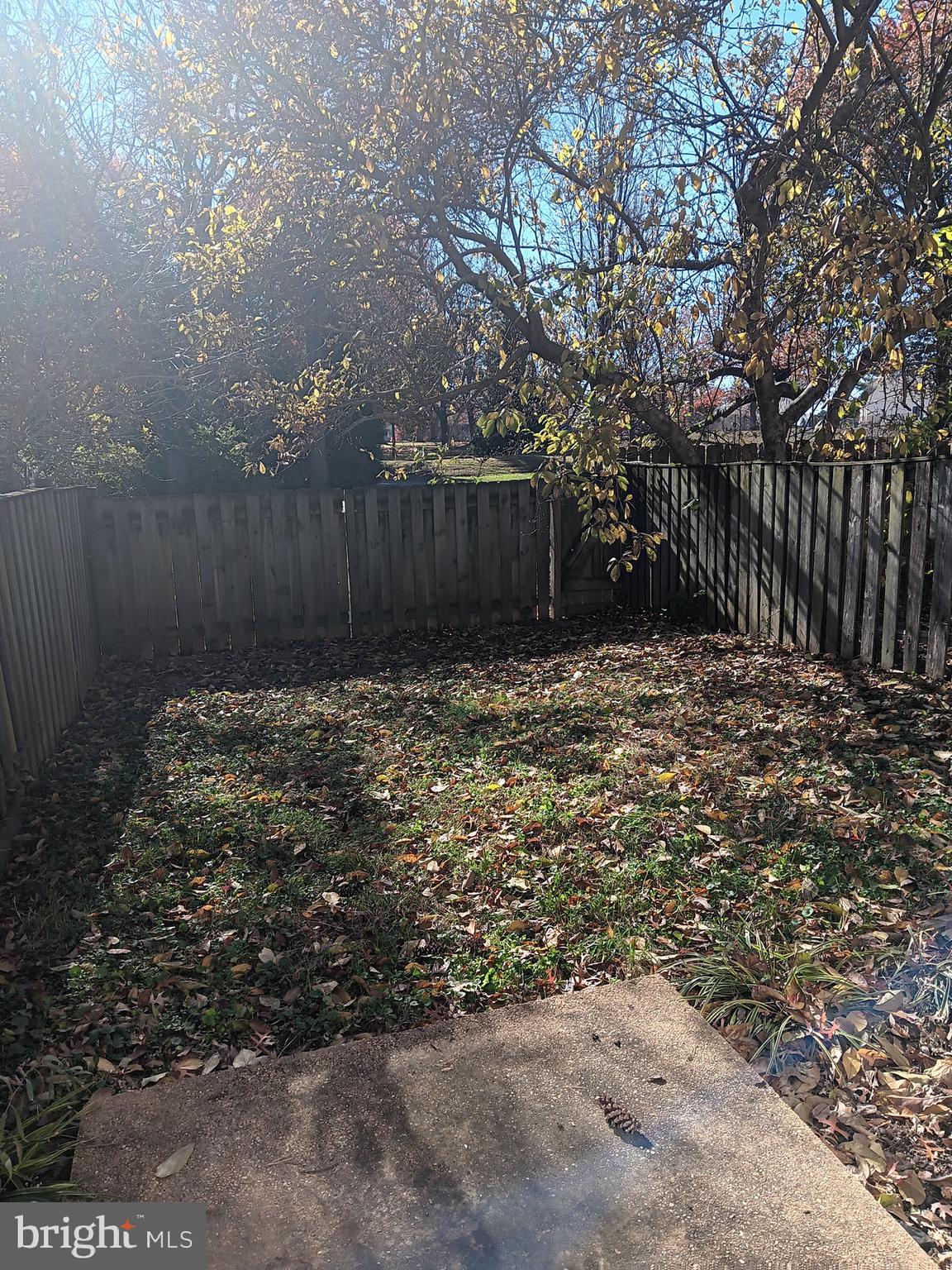 HARPERS CHOICE - Residential Lease