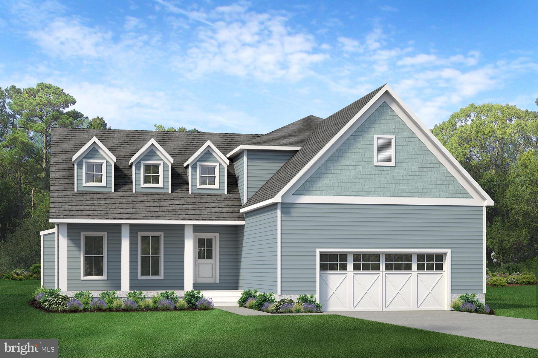 SERENITY AT CUBBAGE POND - Residential