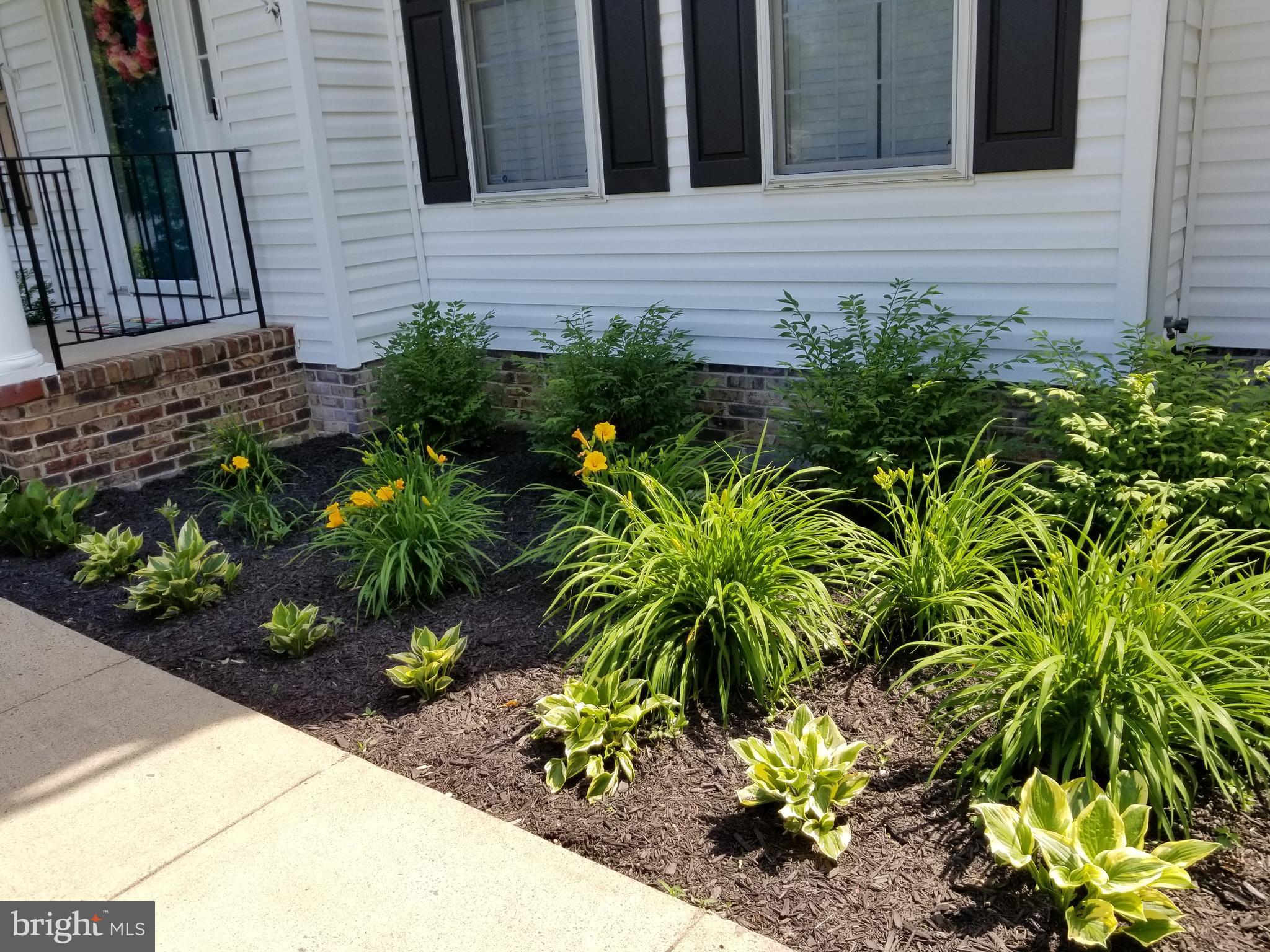 FOX POINT - Residential