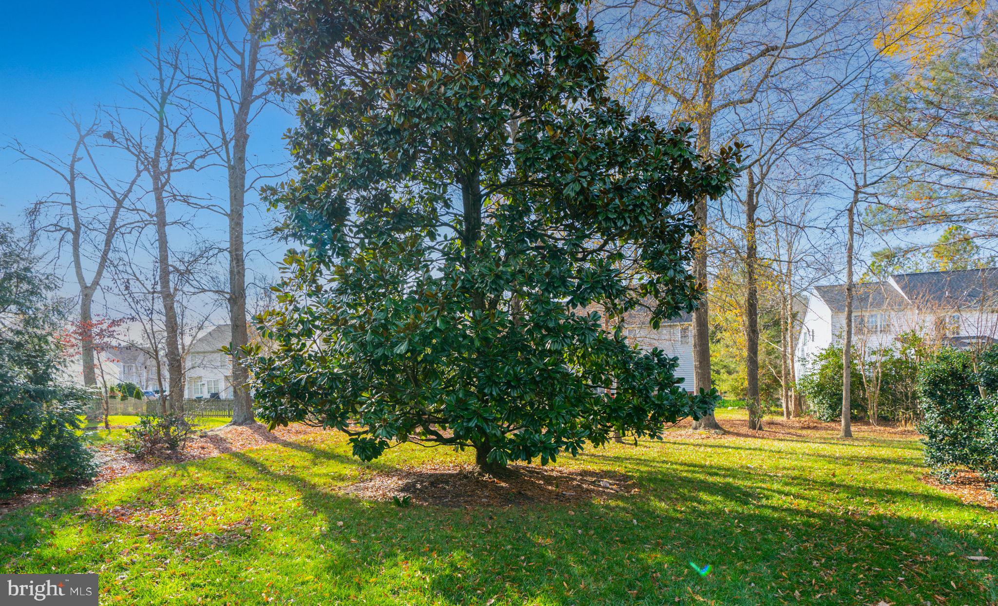 WYNDHAM - Residential