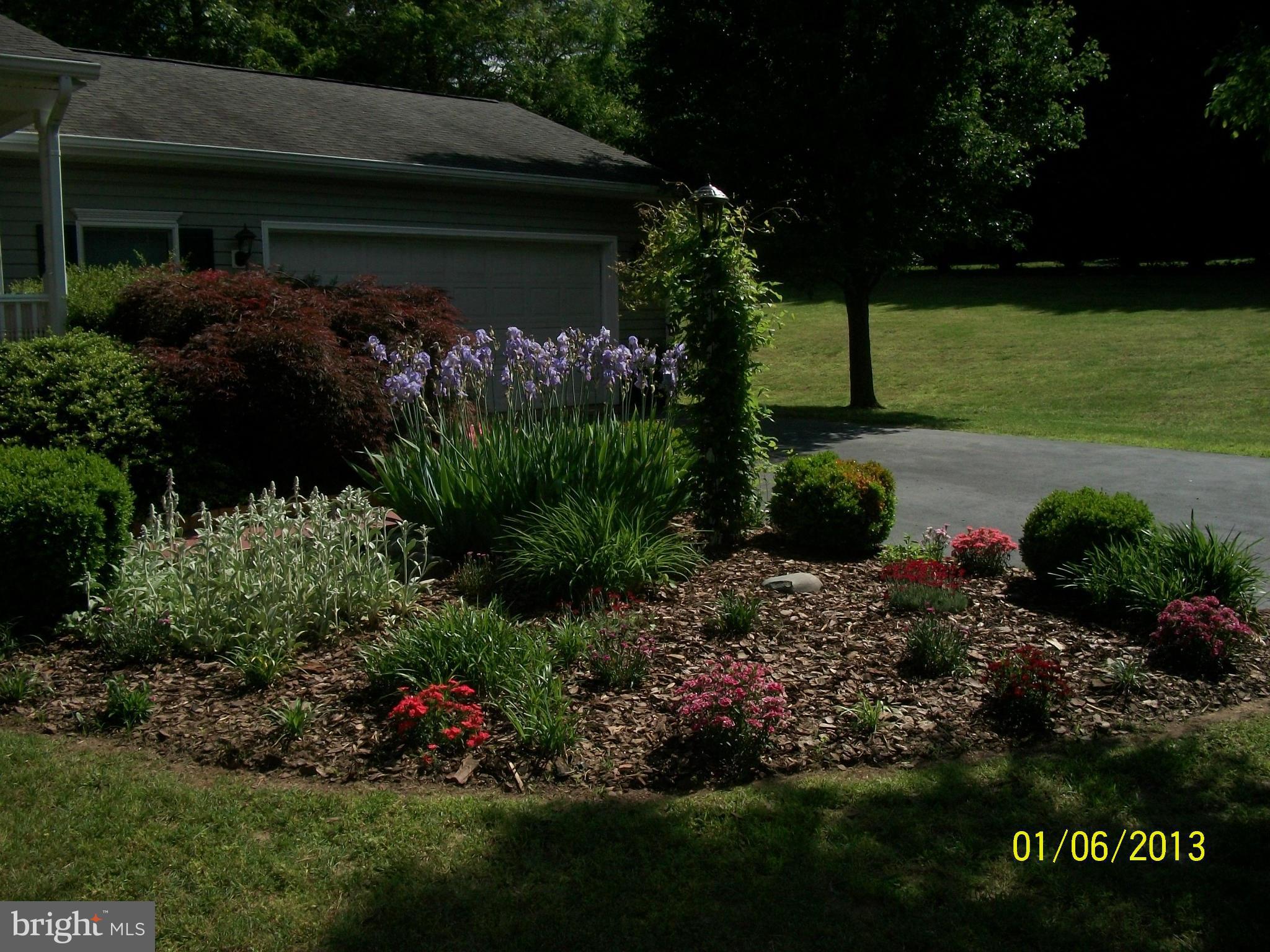 PINE RIDGE - Residential