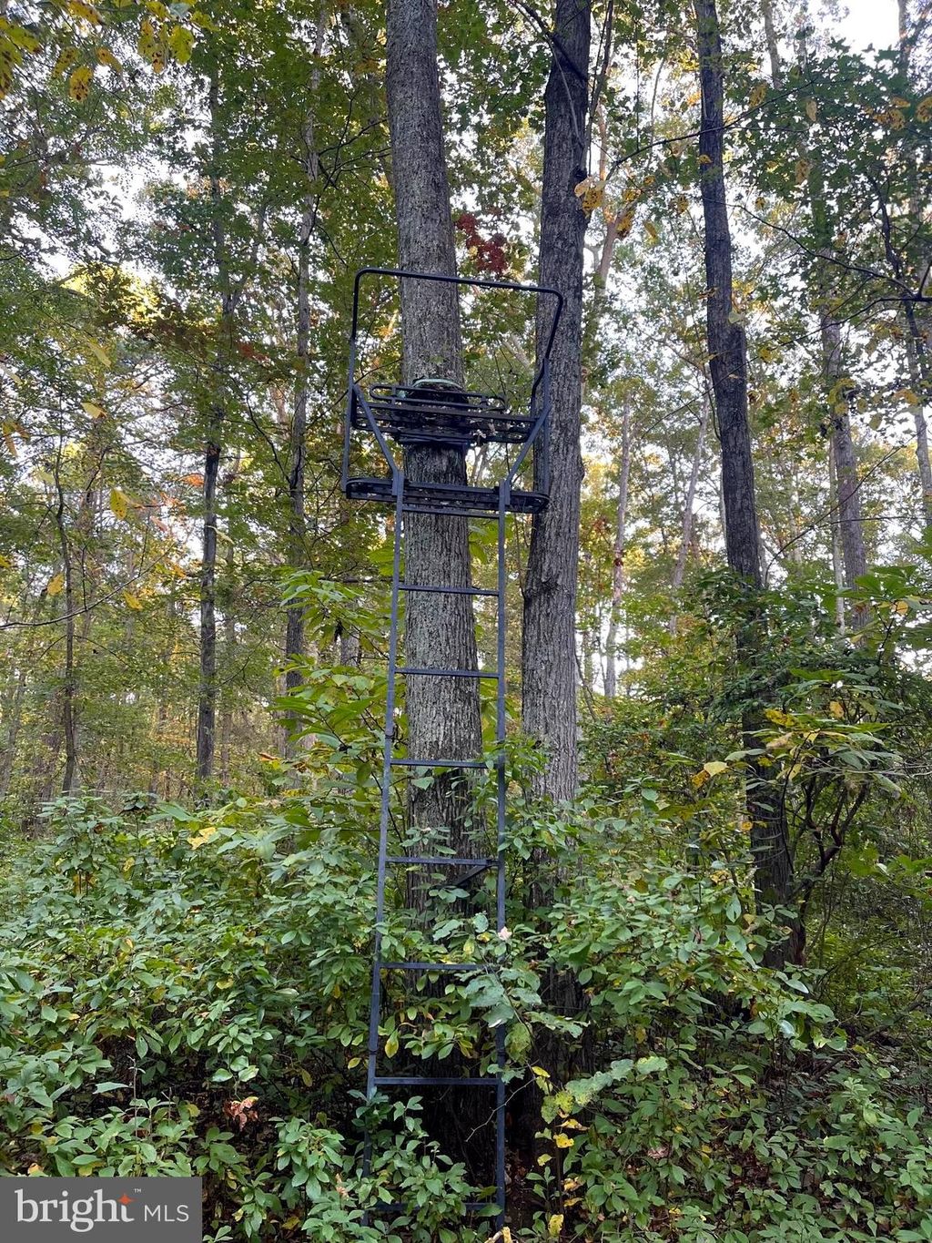 listing image 55
