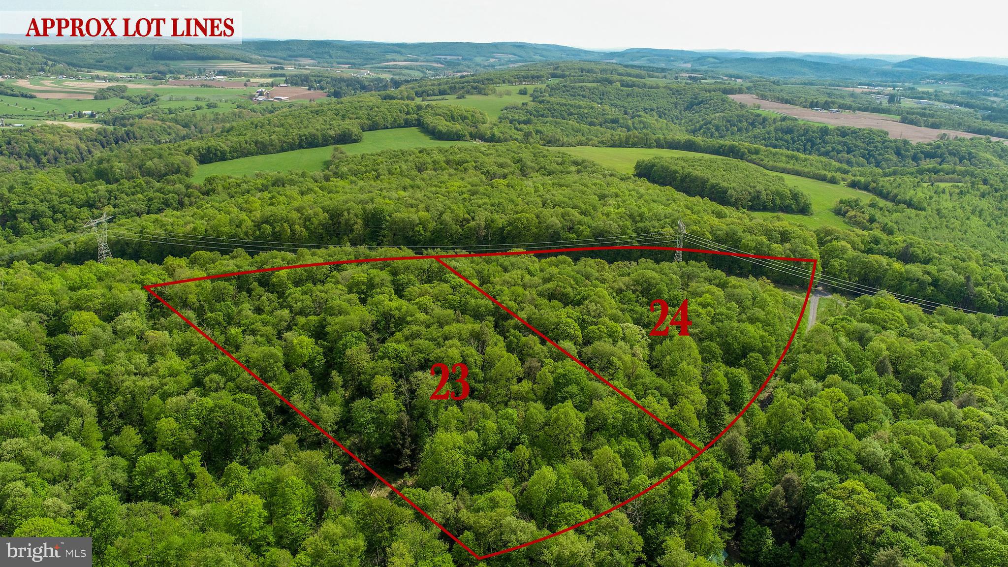 BEAR CREEK FOREST - Land