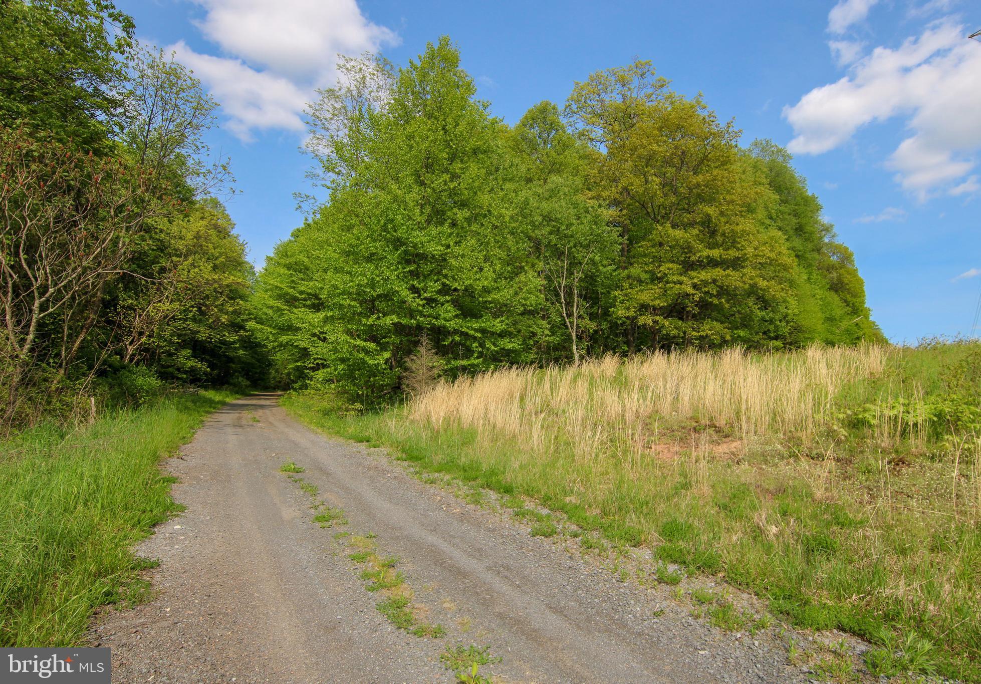 BEAR CREEK FOREST - Land