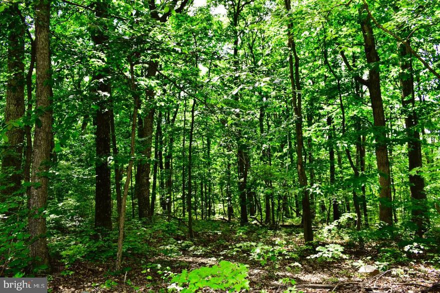 3 acre lovely lot with the perfect setting in Cross Junction off of all paved roads. Smokeyshire sets the backdrop for your dream home. The enchanting private subdivision has well planned protective covenants that don't impede your ability to enjoy nature and your property, but the low $150 annual fee covers the road maintenance. Buried underground electric and telephone to each lot in the subdivision excellent cellular service and easy access to 522.  18 minutes to Winchester and Berkeley Springs, WV.  3 bedroom alternative septic perc.