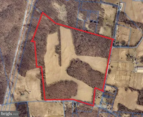 MLS: MDMC2198496