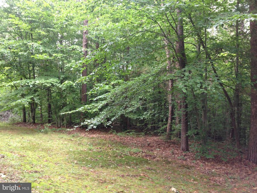 BEAUTIFULLY WOODED BUILDING LOT ACCESSED BY ROW. ROW MOSTLY INSTALLED TO THE LOT, BUT NOT COMPLETELEY.  POSSIBLE OWNER FINANCING. ALSO, BUILDING PKG AVAILABLE SO INQUIRE ABOUT MODELS AND DETAILS. PERC IS EXPIRED FOR CONVENTIONAL DRAIN. PLAT AVAILABLE. YOU WILL LOVE THIS LOT.