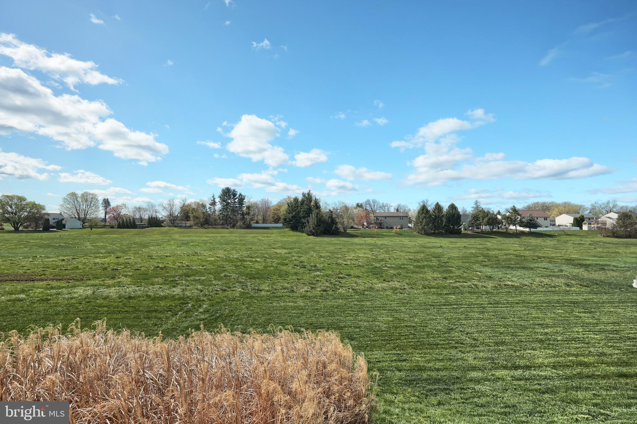 THE ORCHARDS - Residential