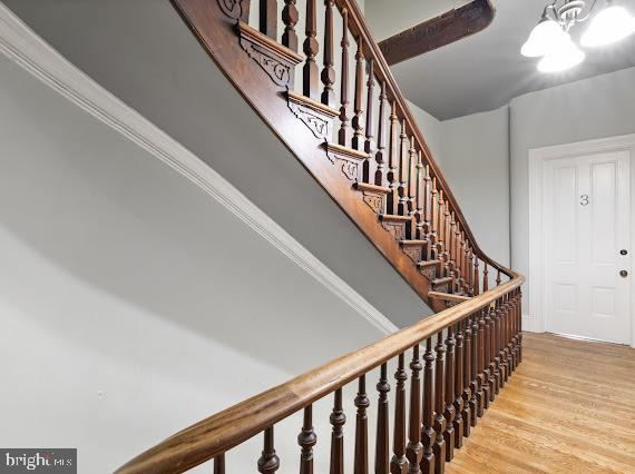 1125 SAINT PAUL STREET 3