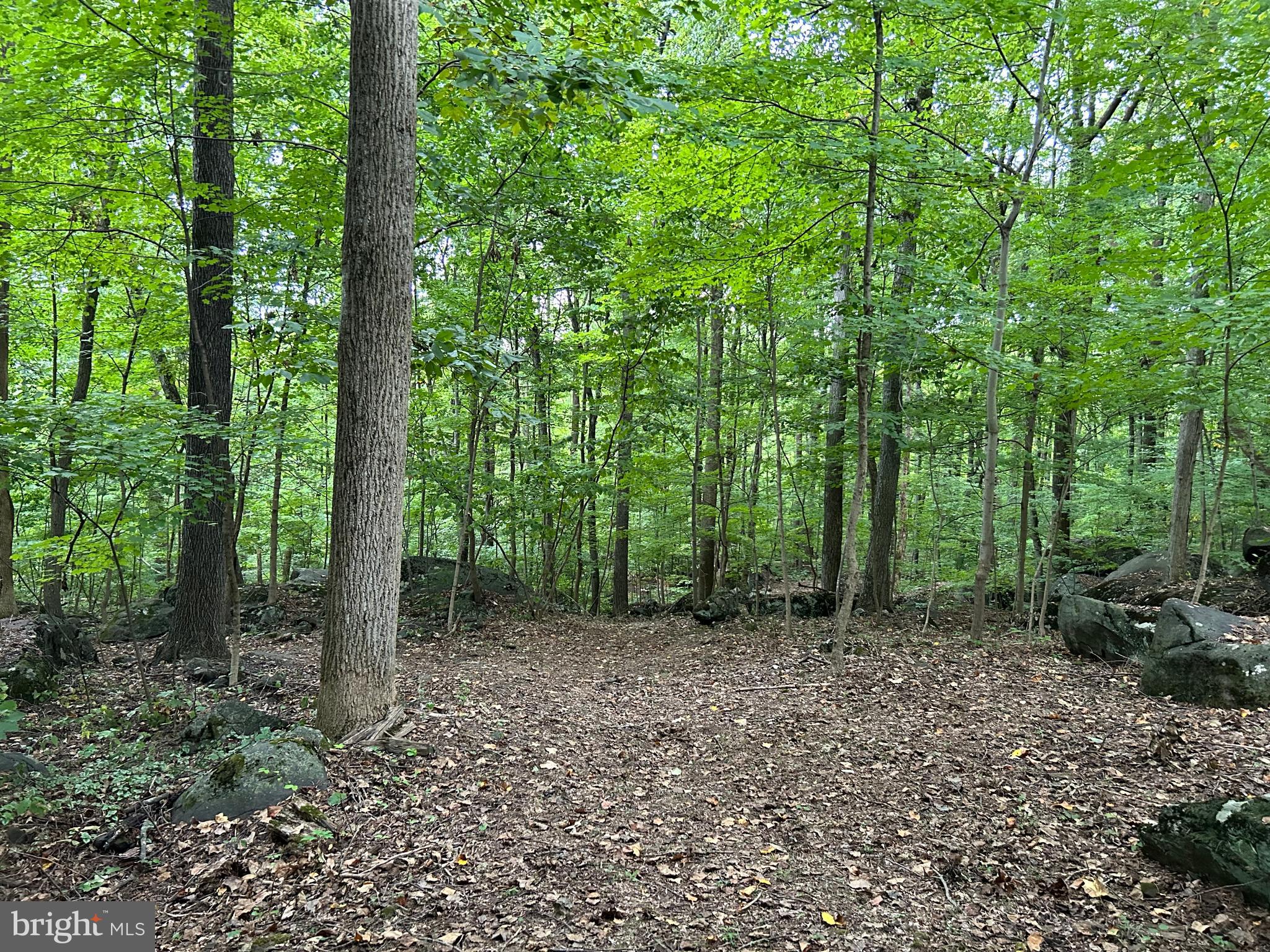 INDIAN ROCK - Residential