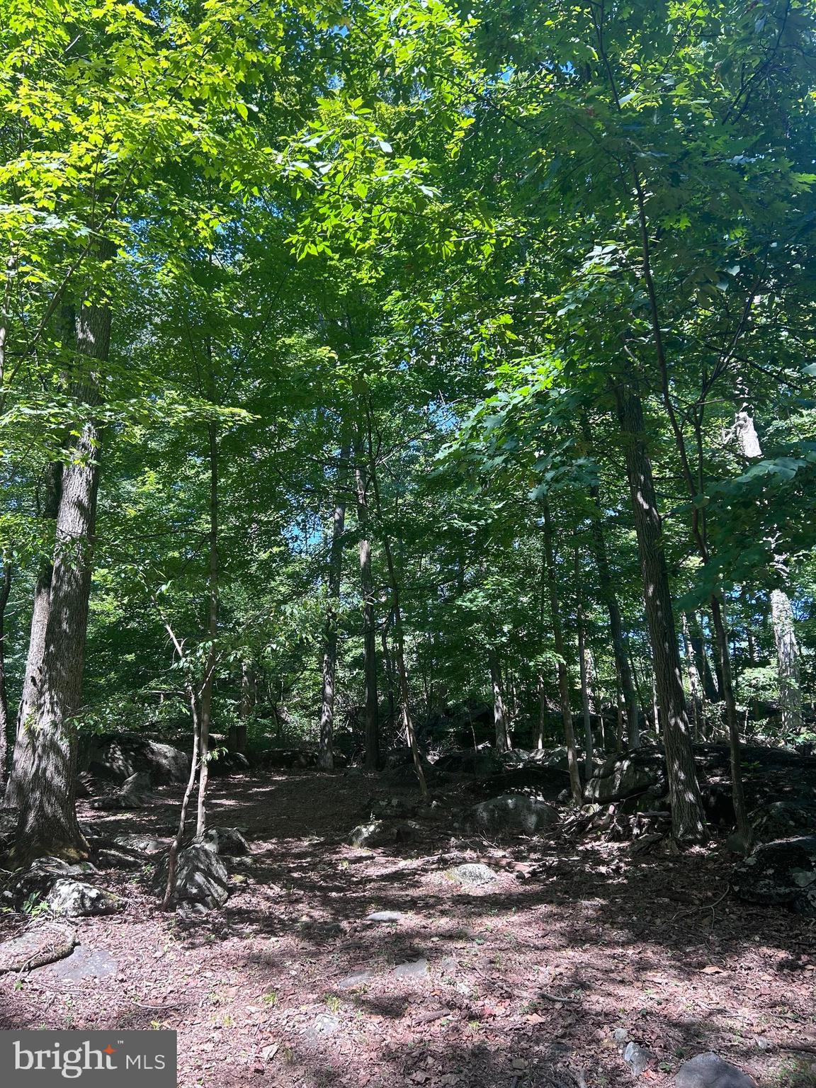 INDIAN ROCK - Residential