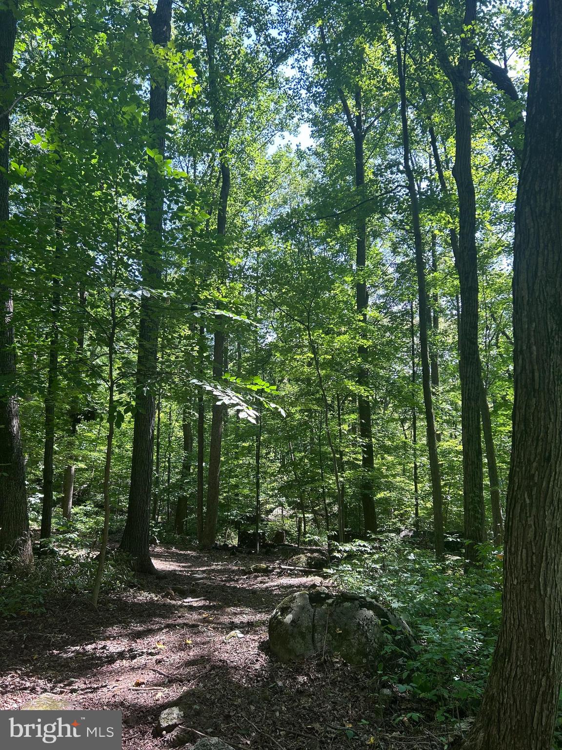INDIAN ROCK - Residential