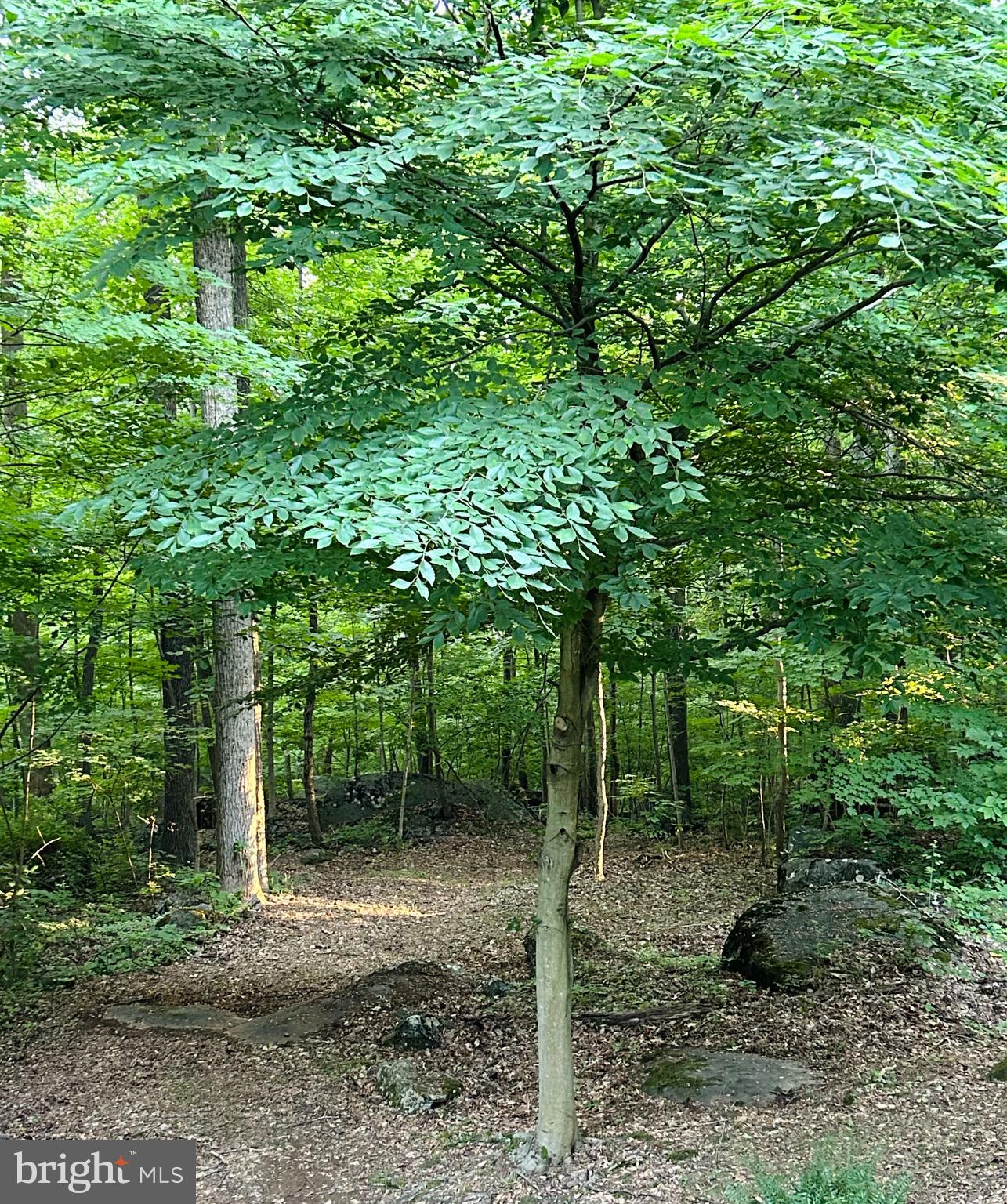 INDIAN ROCK - Residential