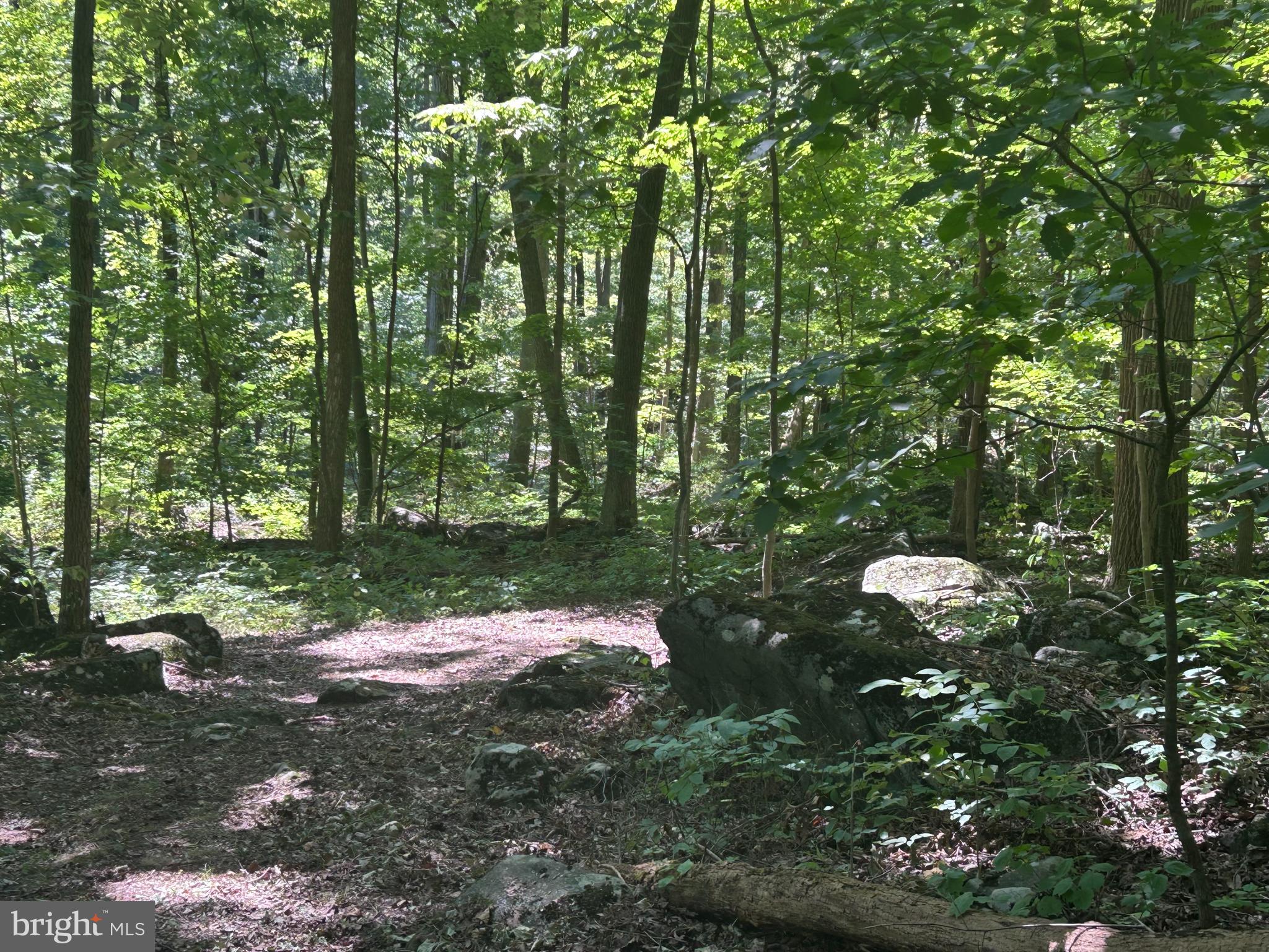 INDIAN ROCK - Residential