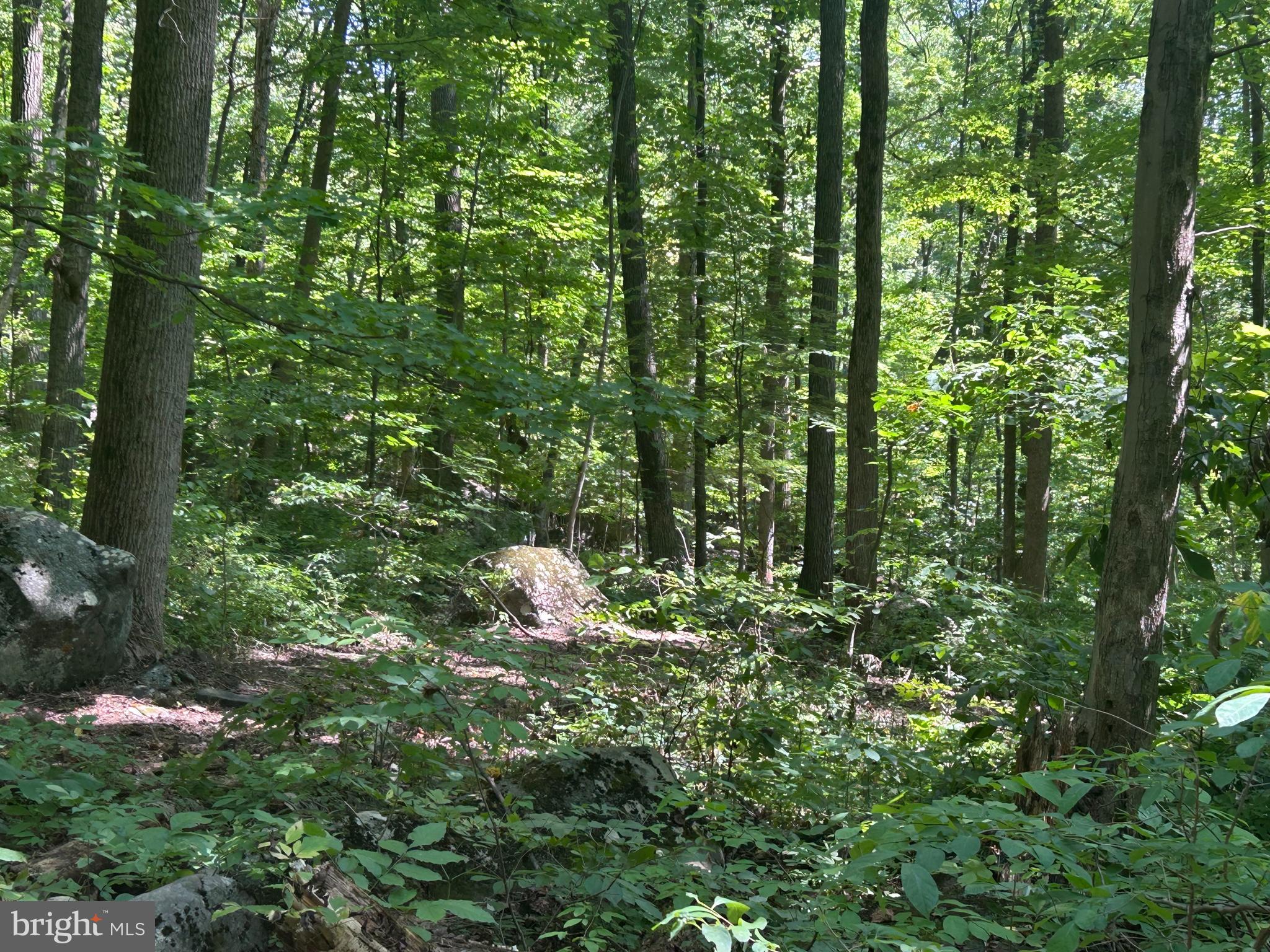 INDIAN ROCK - Residential