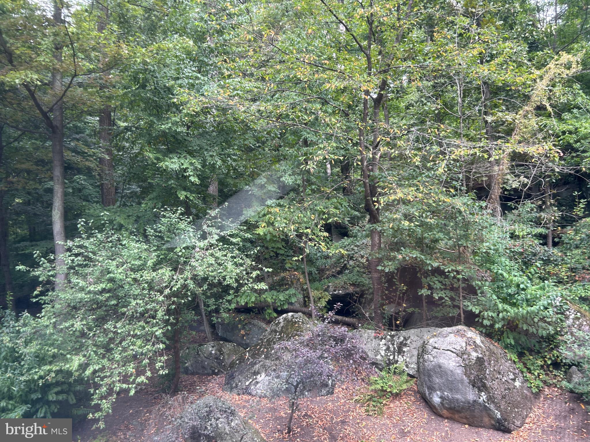 INDIAN ROCK - Residential