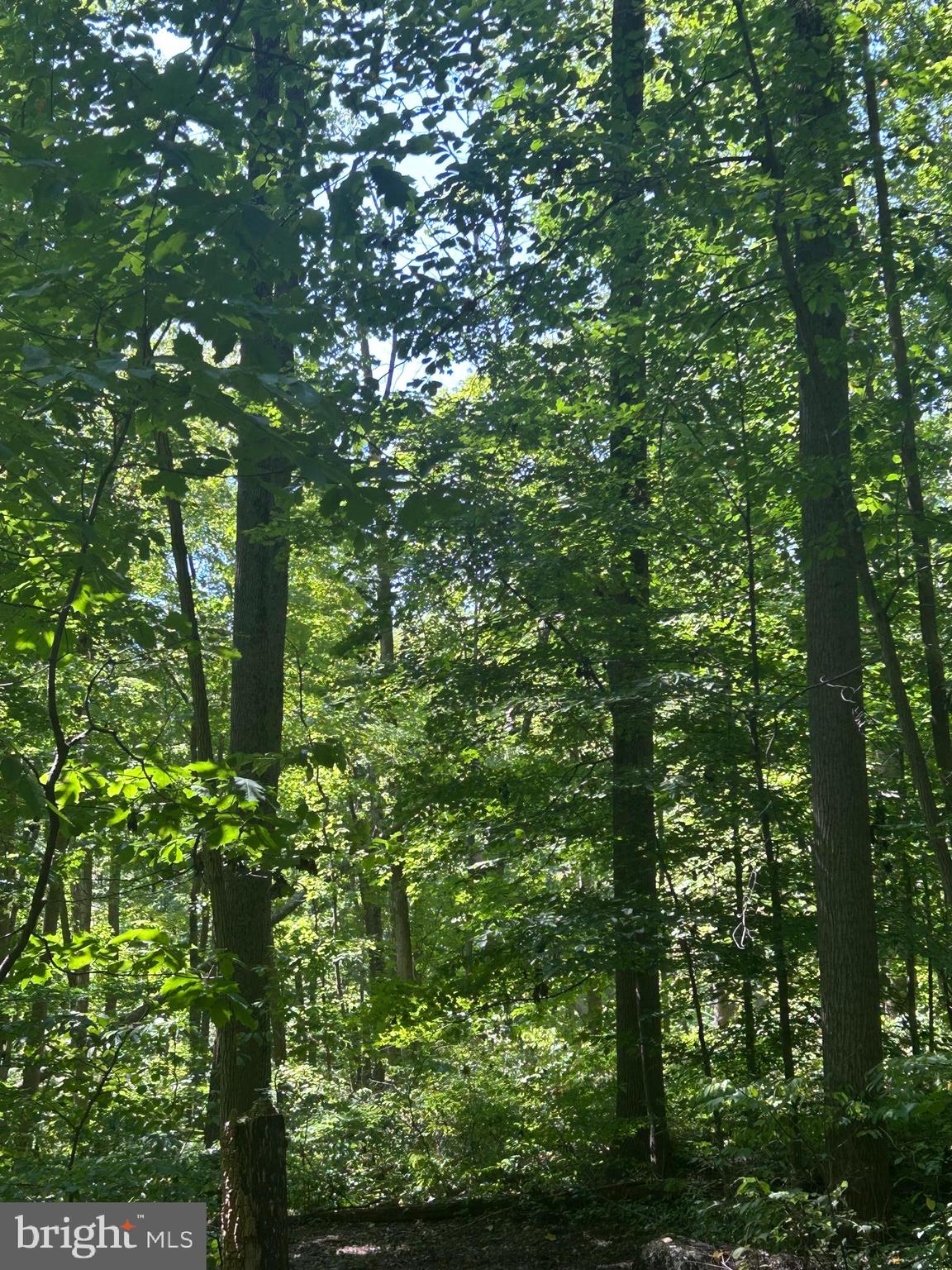 INDIAN ROCK - Residential