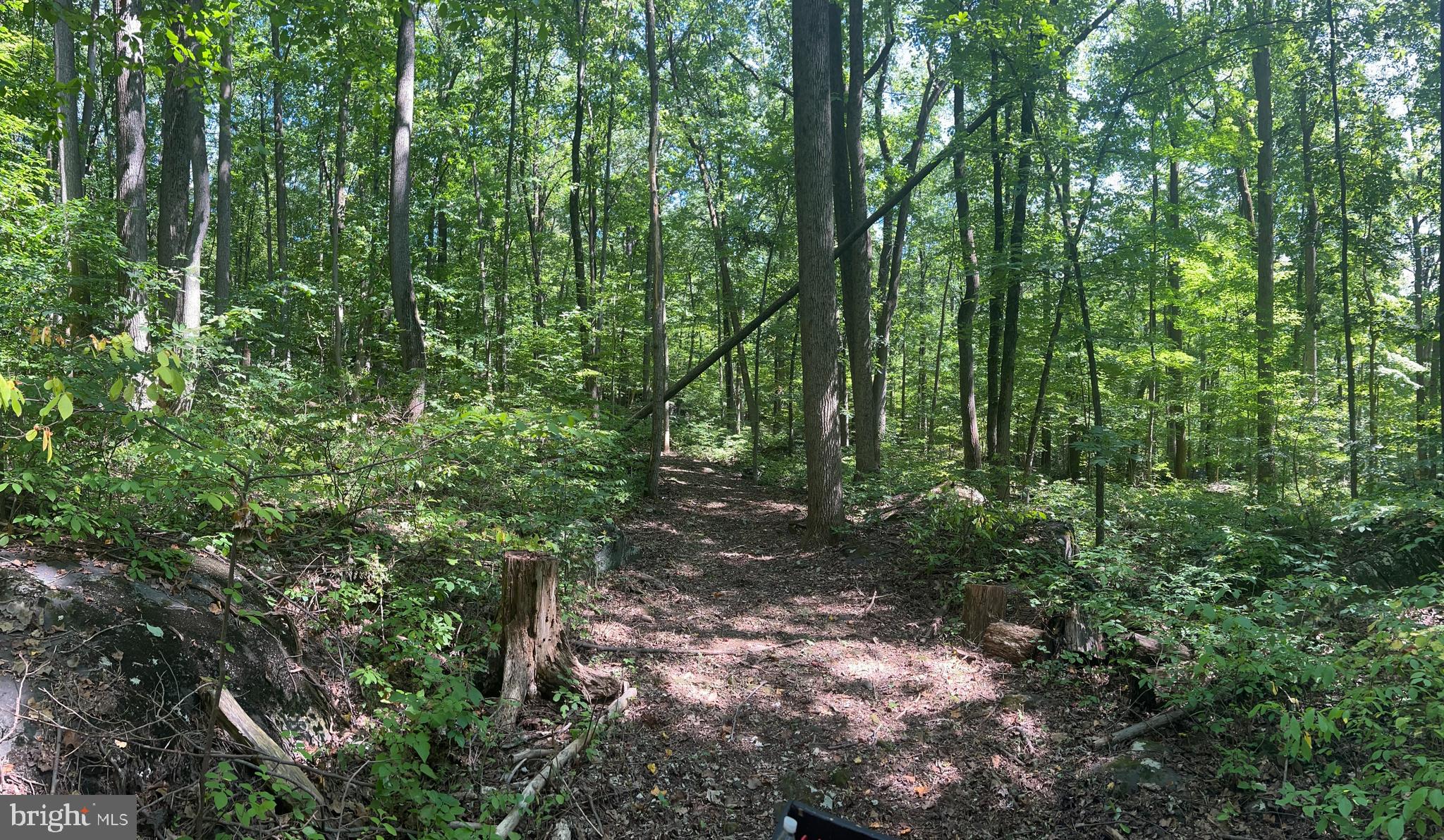 INDIAN ROCK - Residential