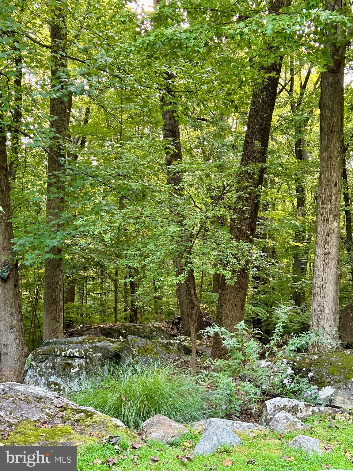 INDIAN ROCK - Residential