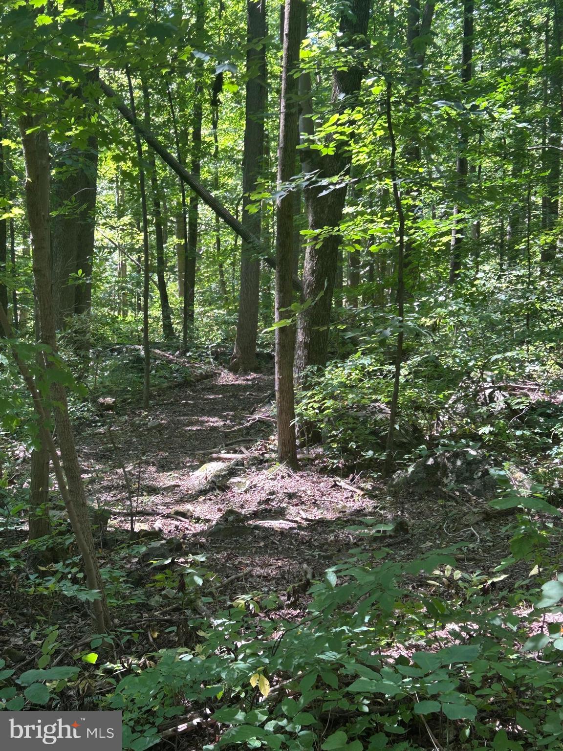 INDIAN ROCK - Residential