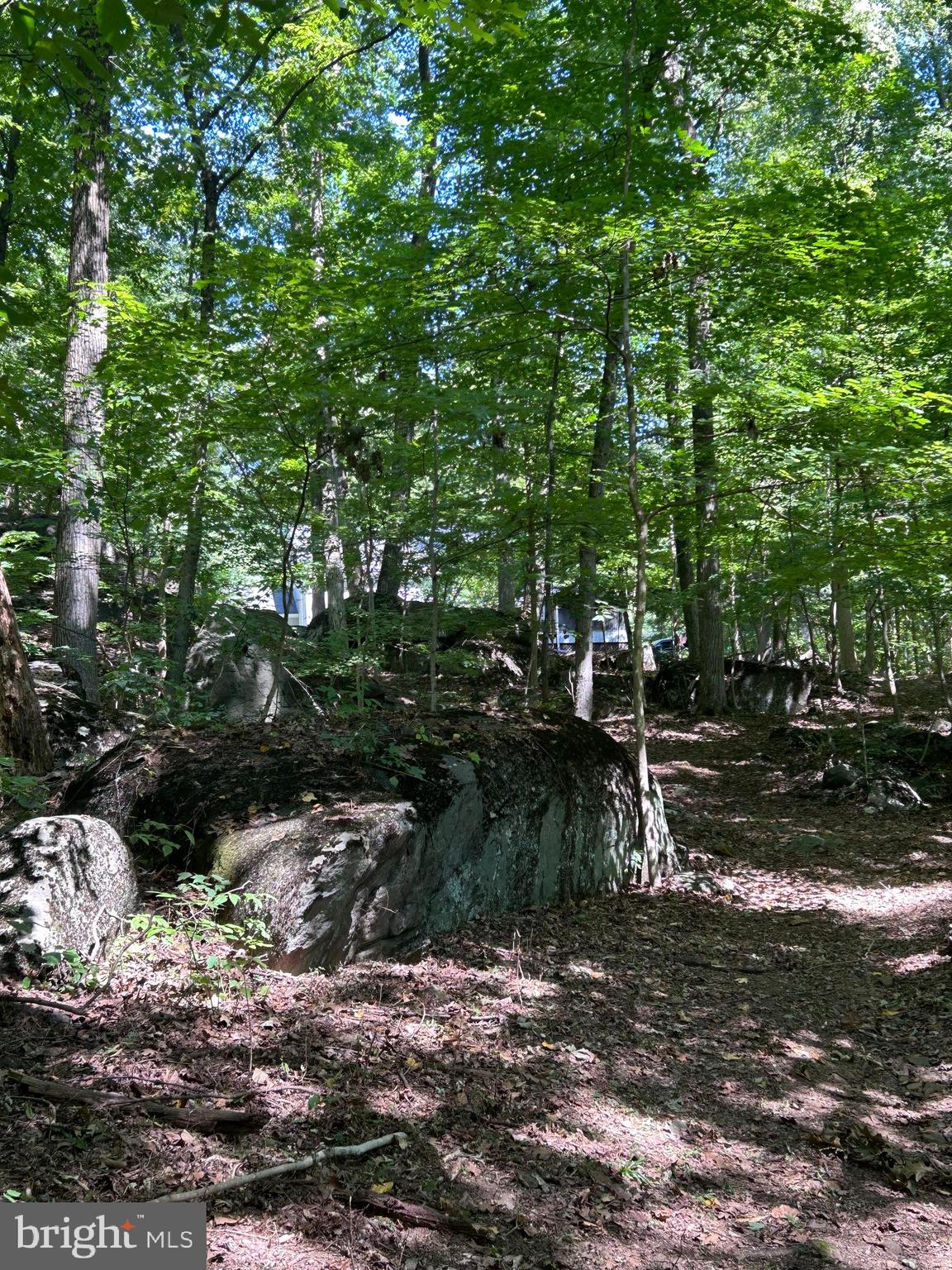 INDIAN ROCK - Residential