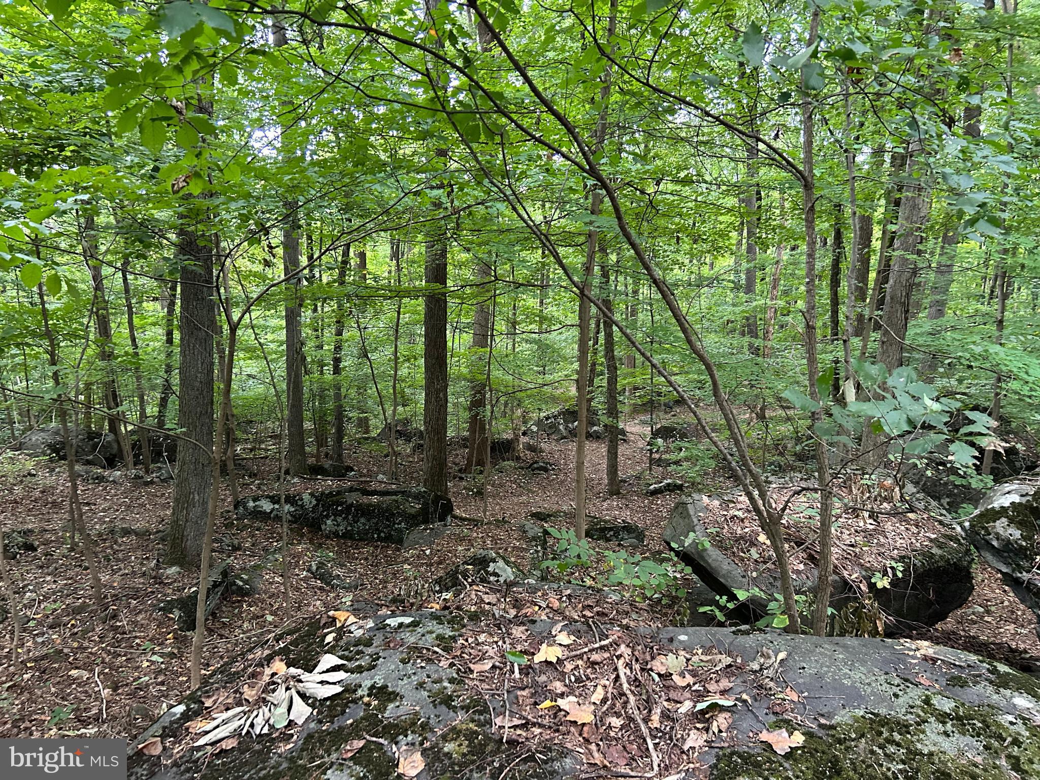 INDIAN ROCK - Residential