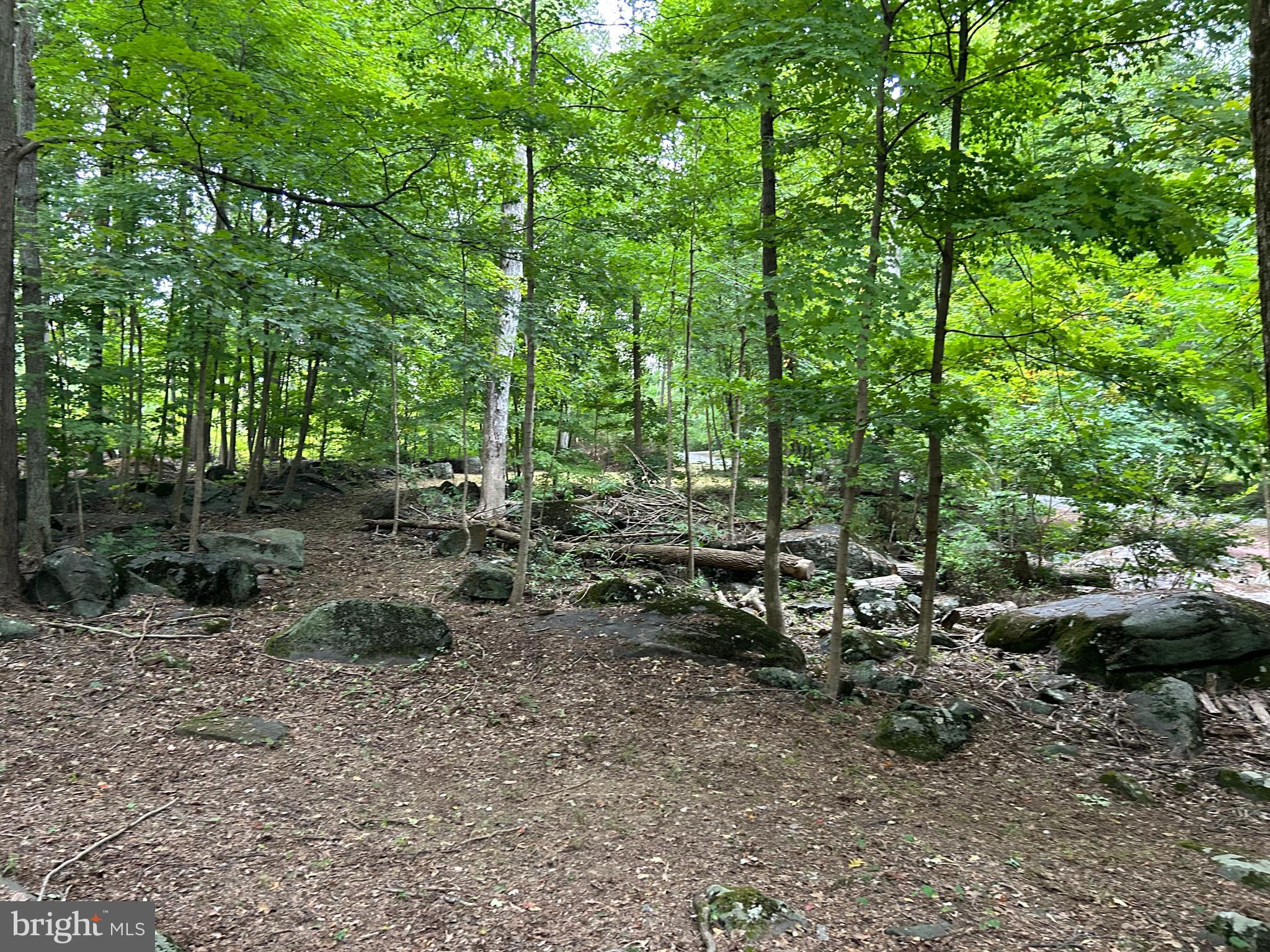 INDIAN ROCK - Residential