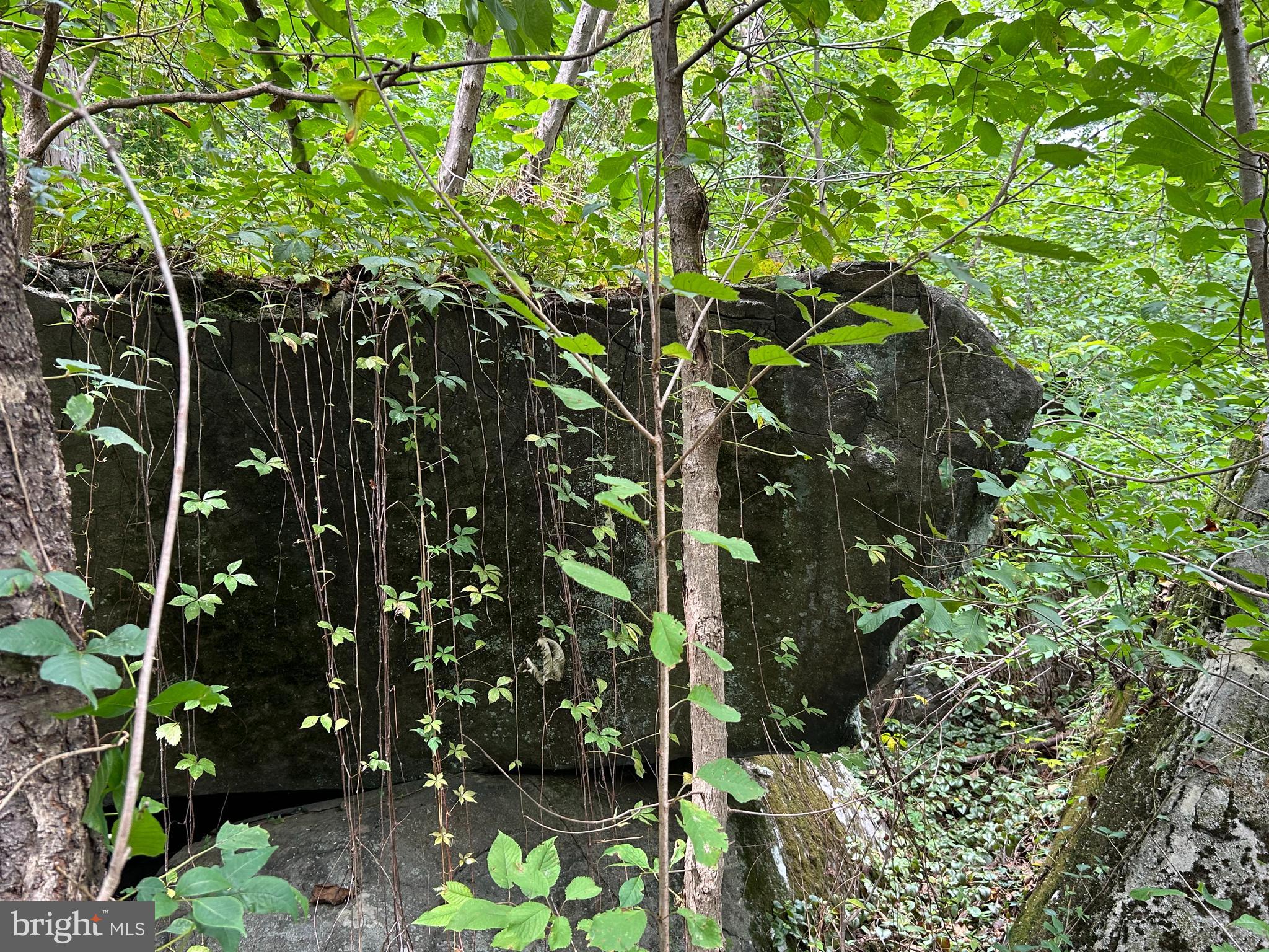 INDIAN ROCK - Residential