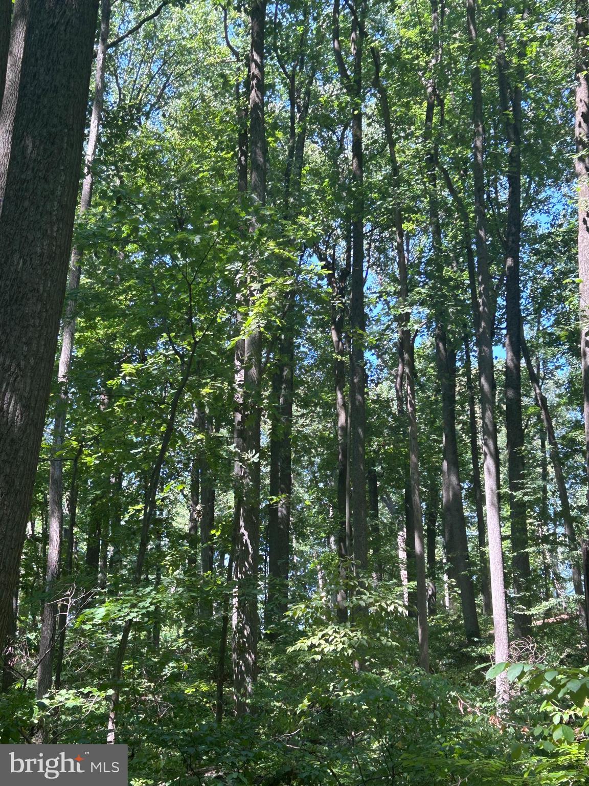 INDIAN ROCK - Residential