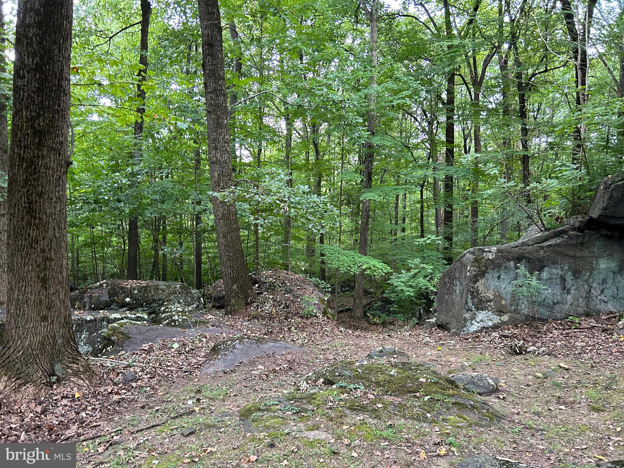 INDIAN ROCK - Residential