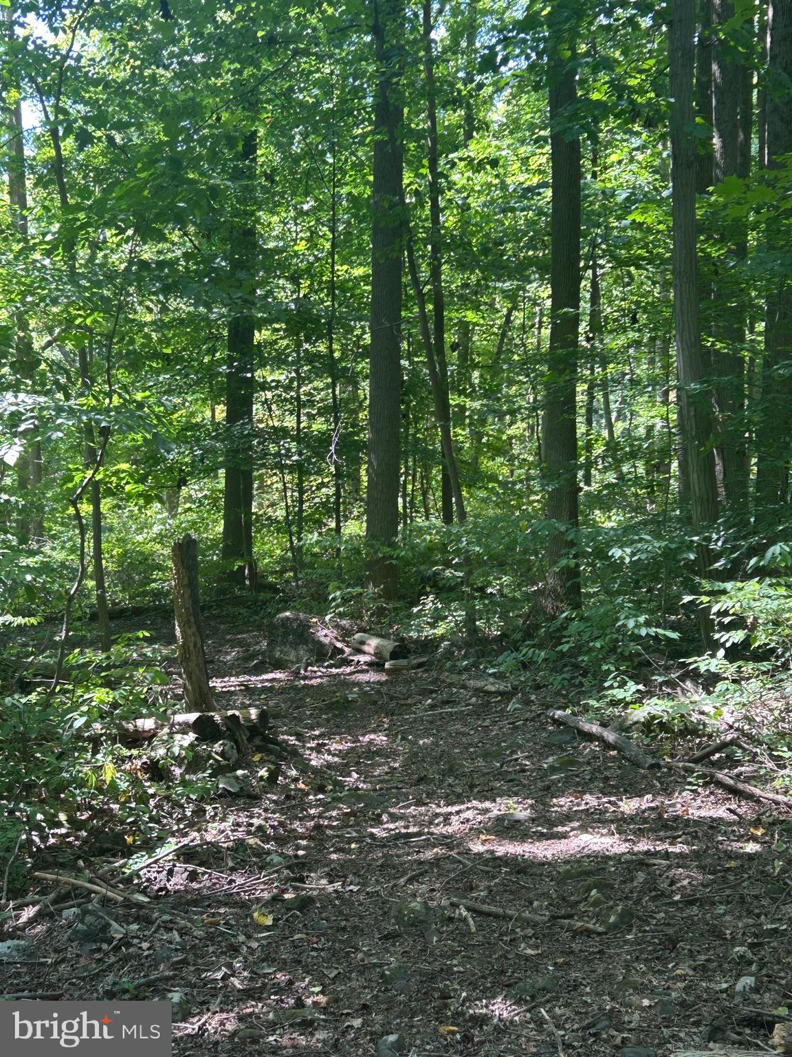 INDIAN ROCK - Residential