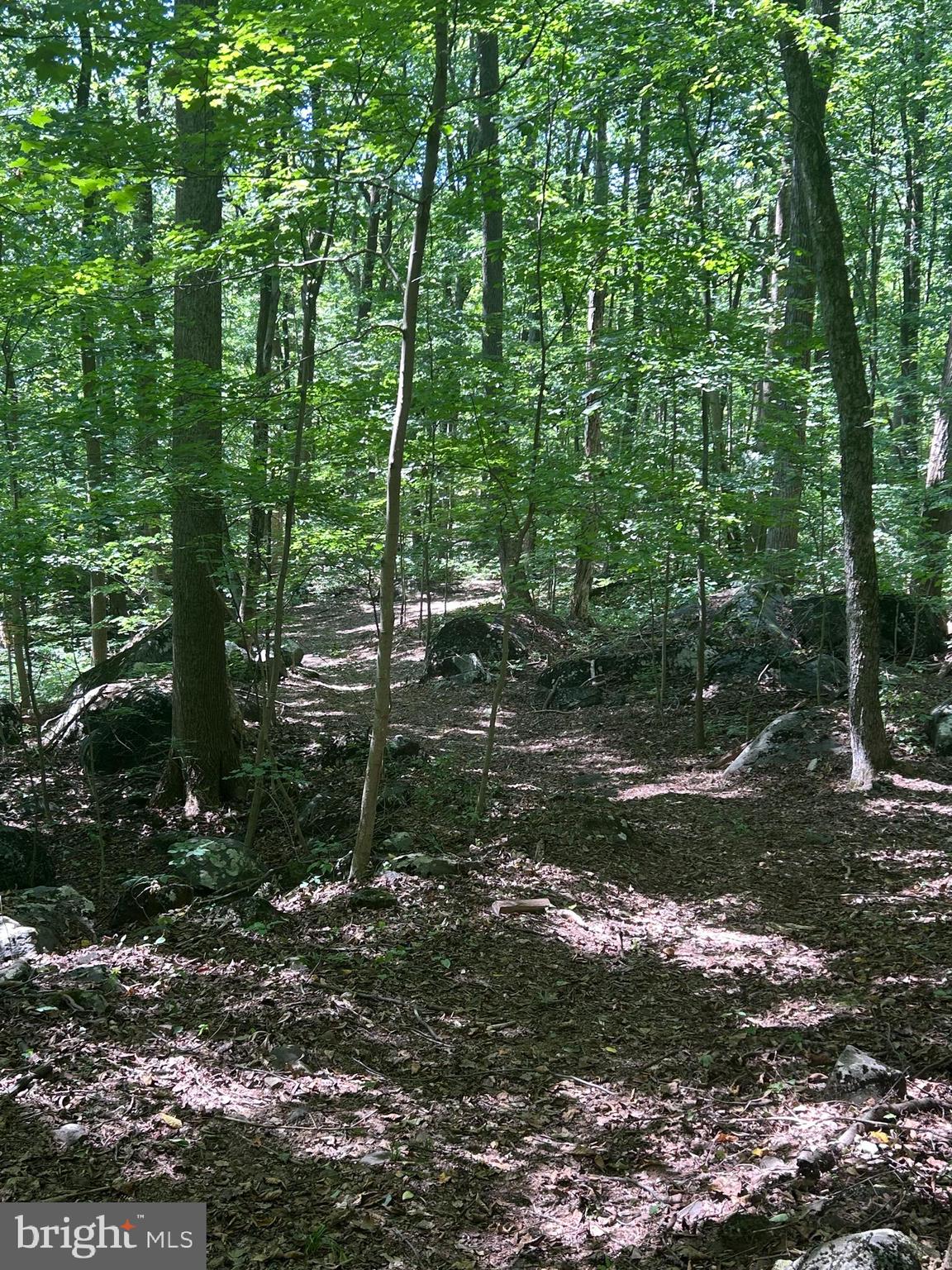 INDIAN ROCK - Residential