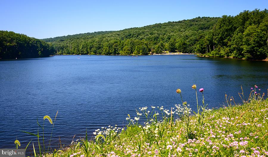 ELMWOOD FARM - Residential