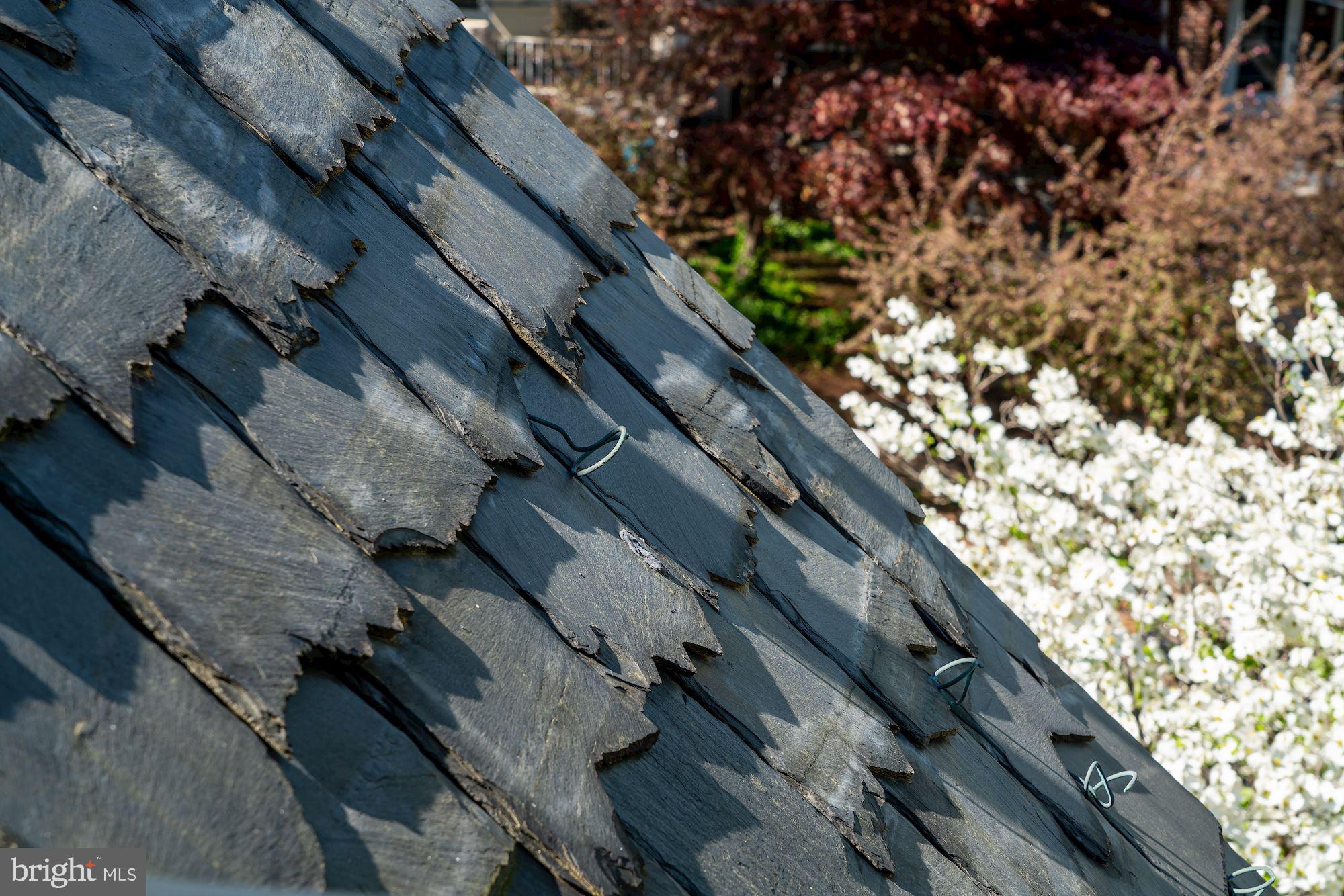 GLOVER PARK - Residential