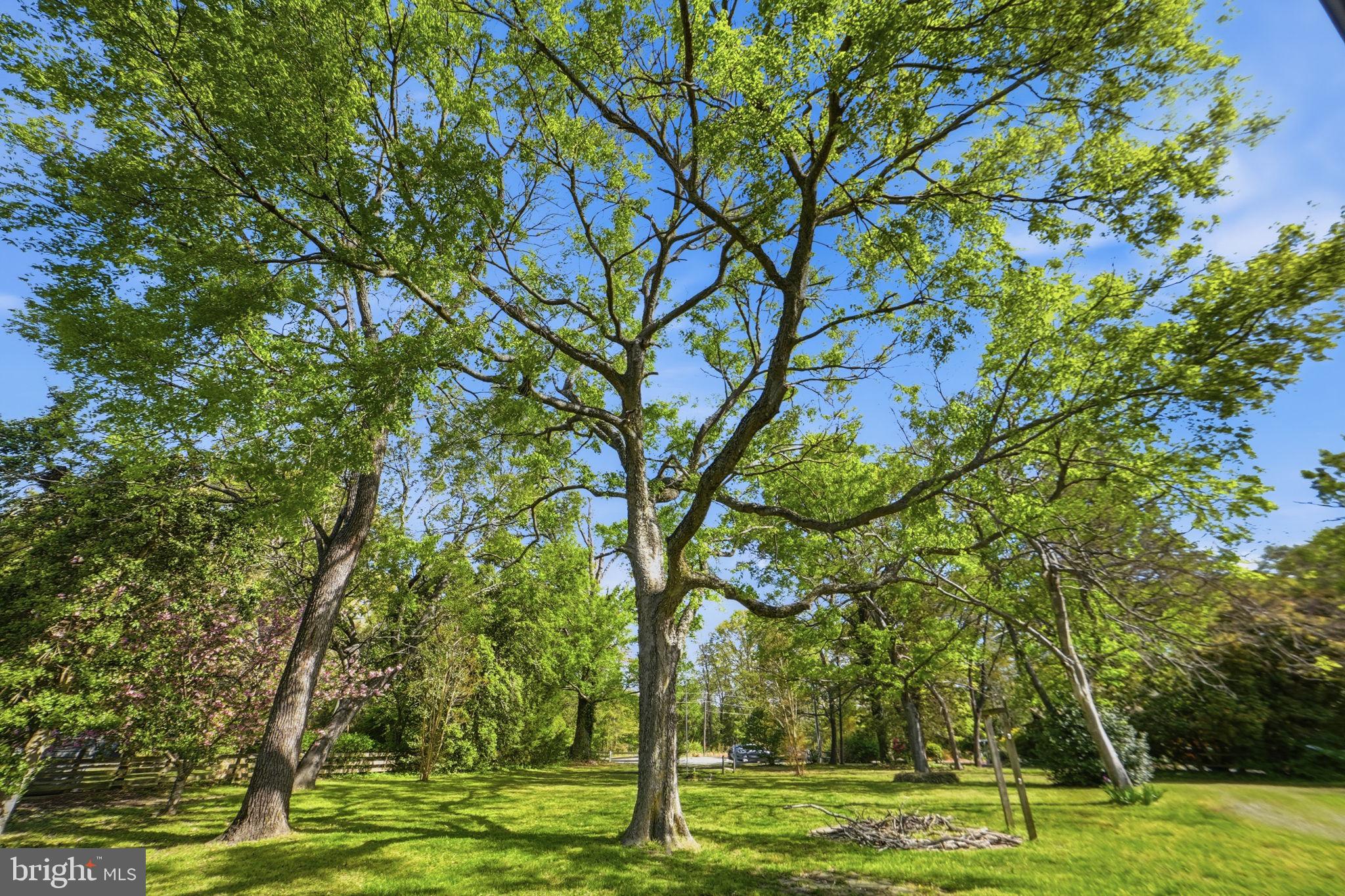 SALTAIRE - Residential