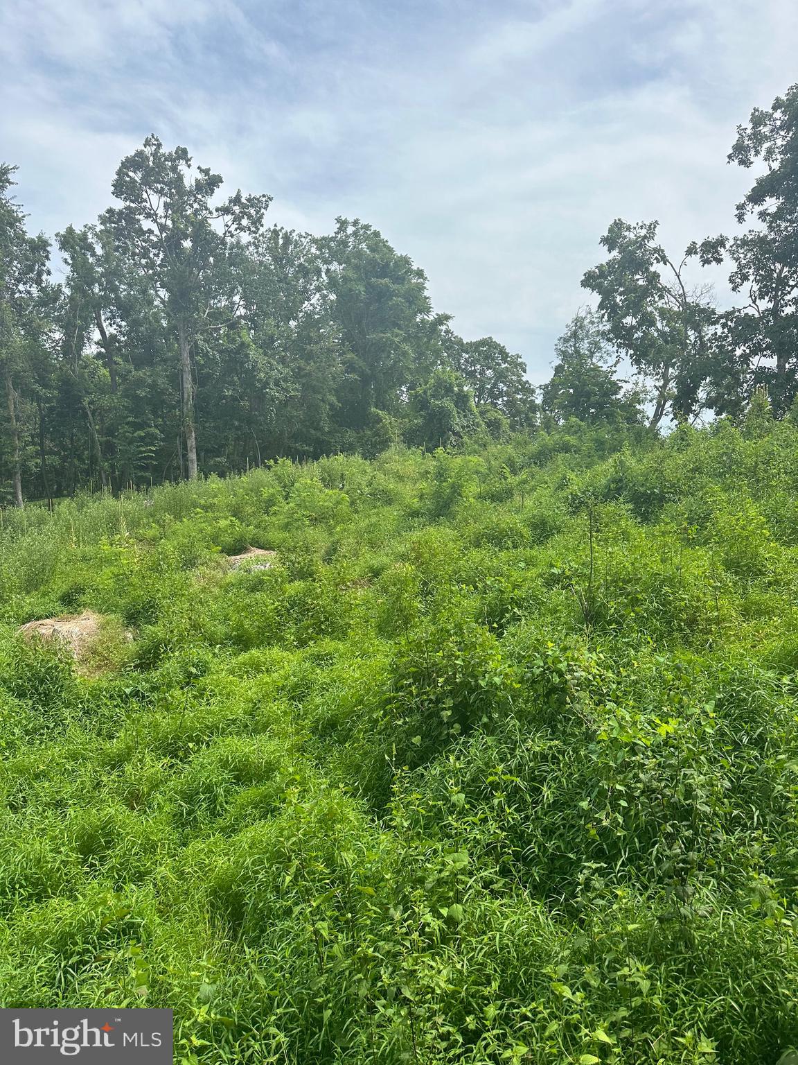 POTOMAC VALLEY VISTA - Land