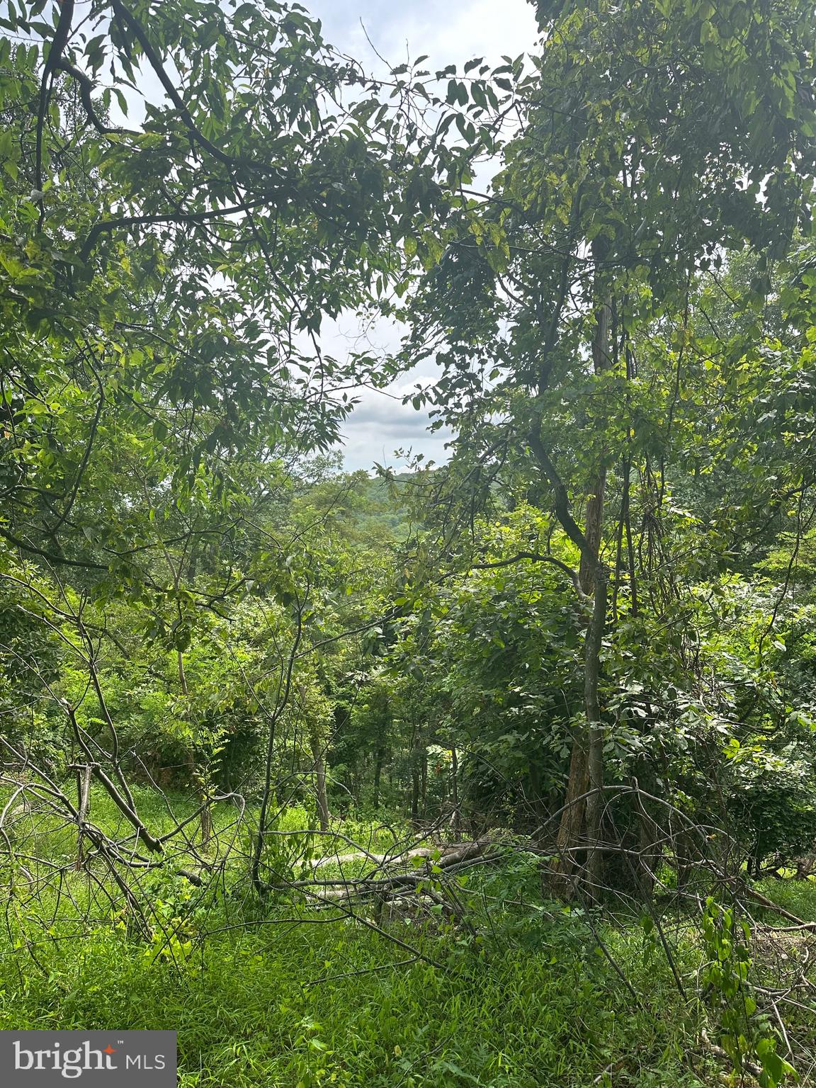 POTOMAC VALLEY VISTA - Land