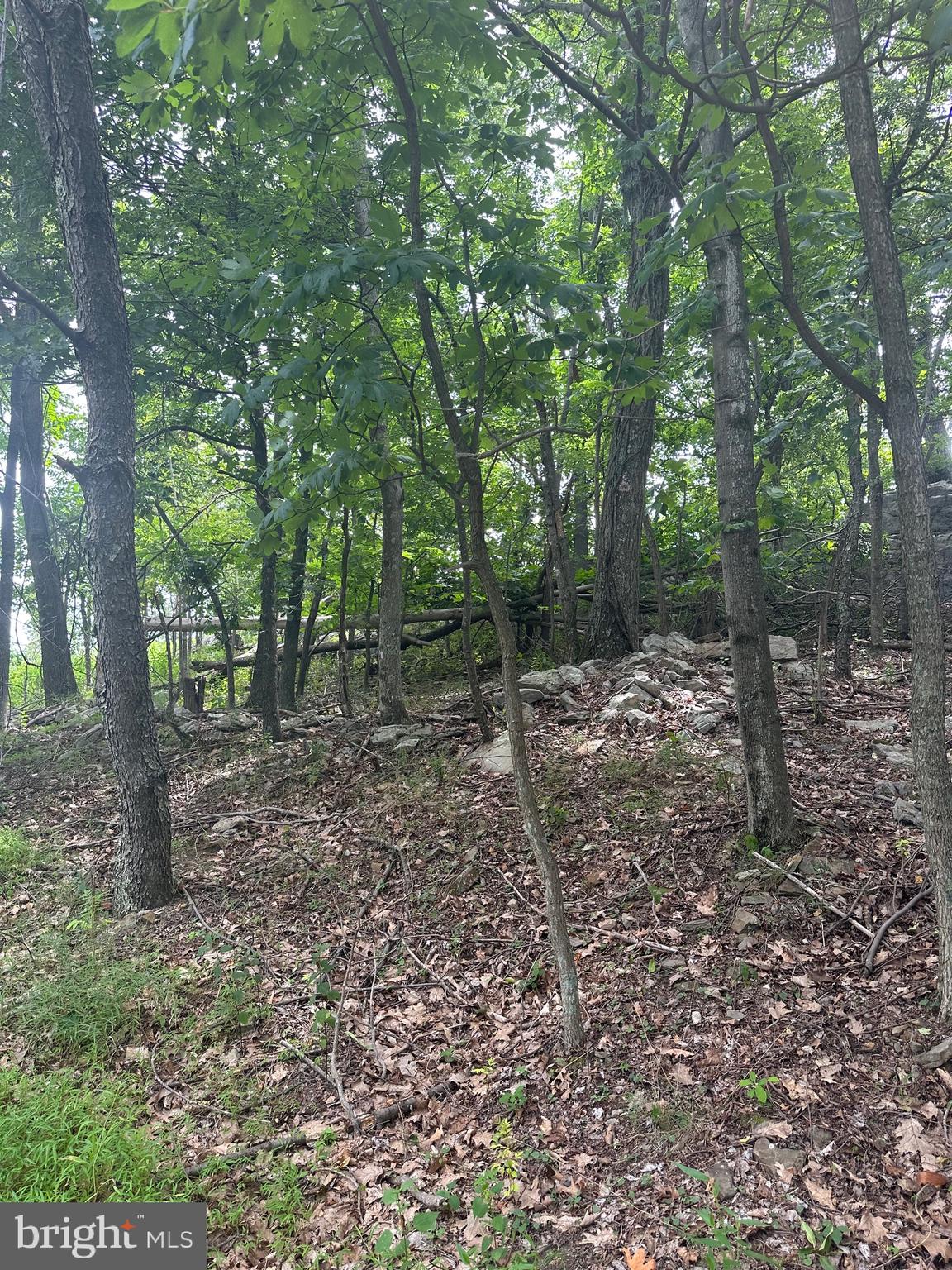 POTOMAC VALLEY VISTA - Land