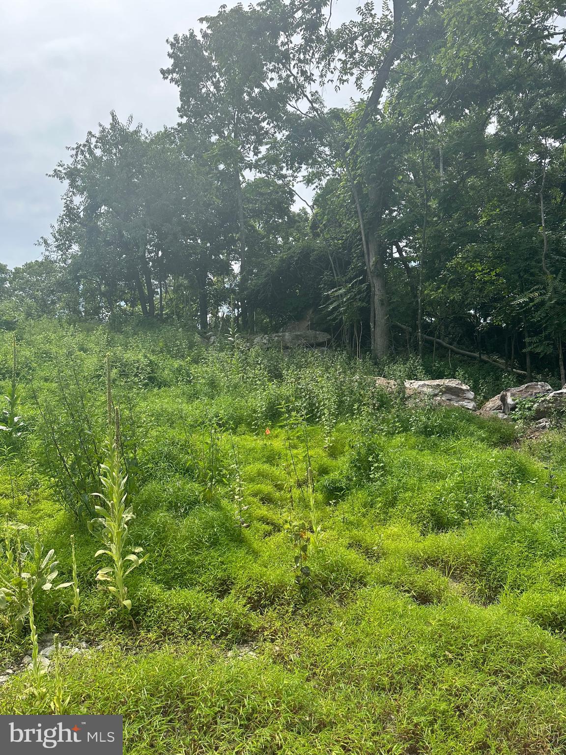 POTOMAC VALLEY VISTA - Land