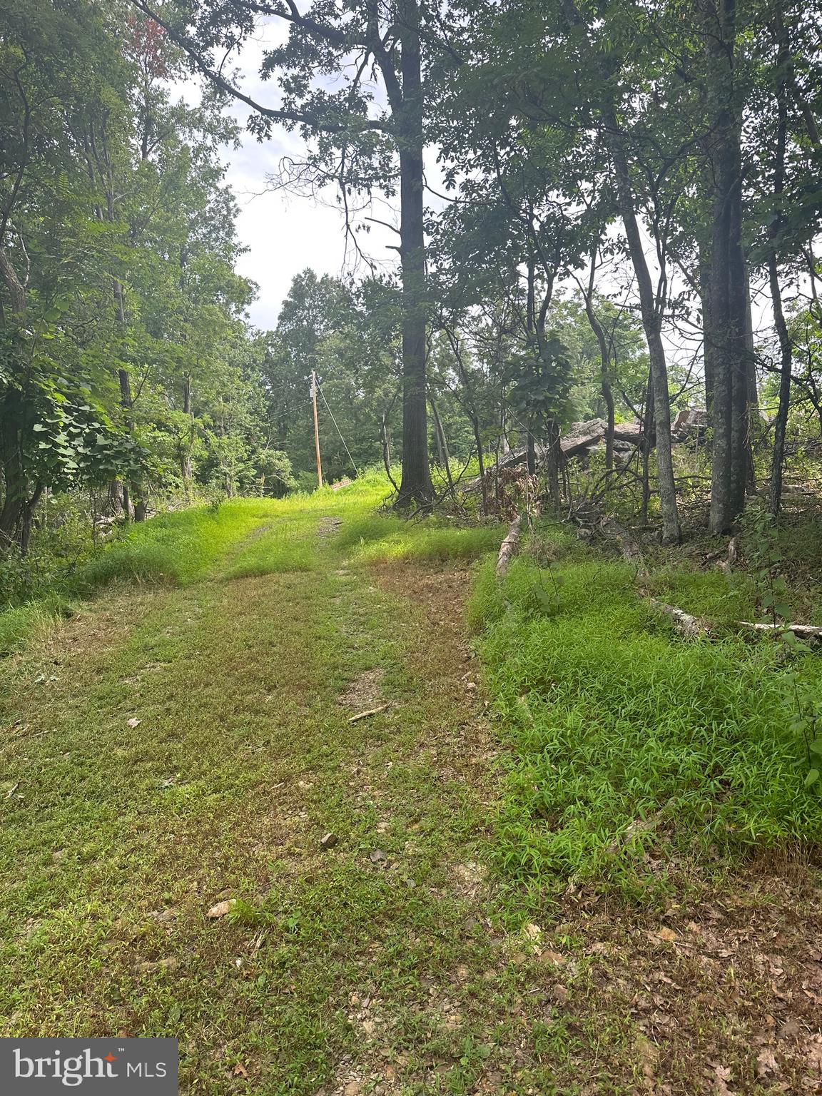 POTOMAC VALLEY VISTA - Land