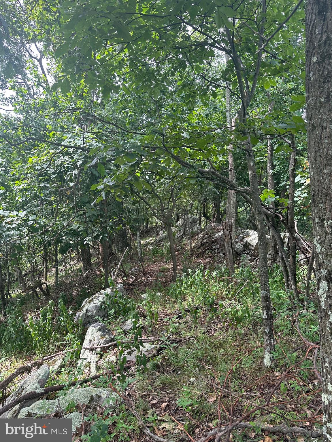 POTOMAC VALLEY VISTA - Land