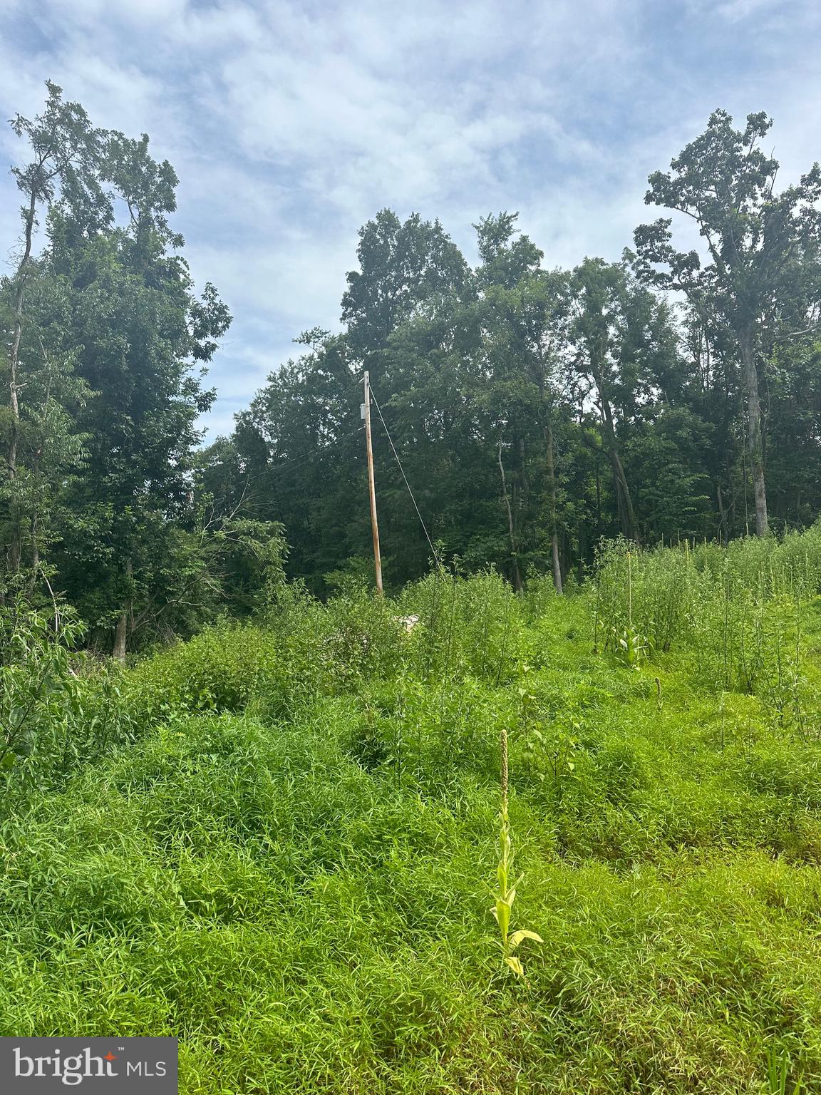 POTOMAC VALLEY VISTA - Land