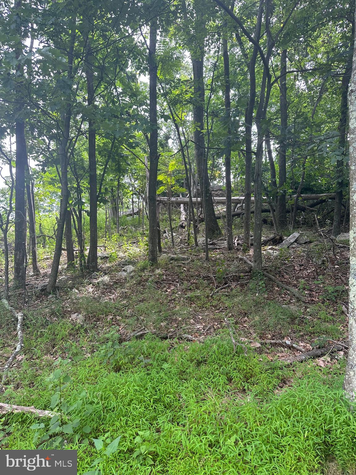 POTOMAC VALLEY VISTA - Land