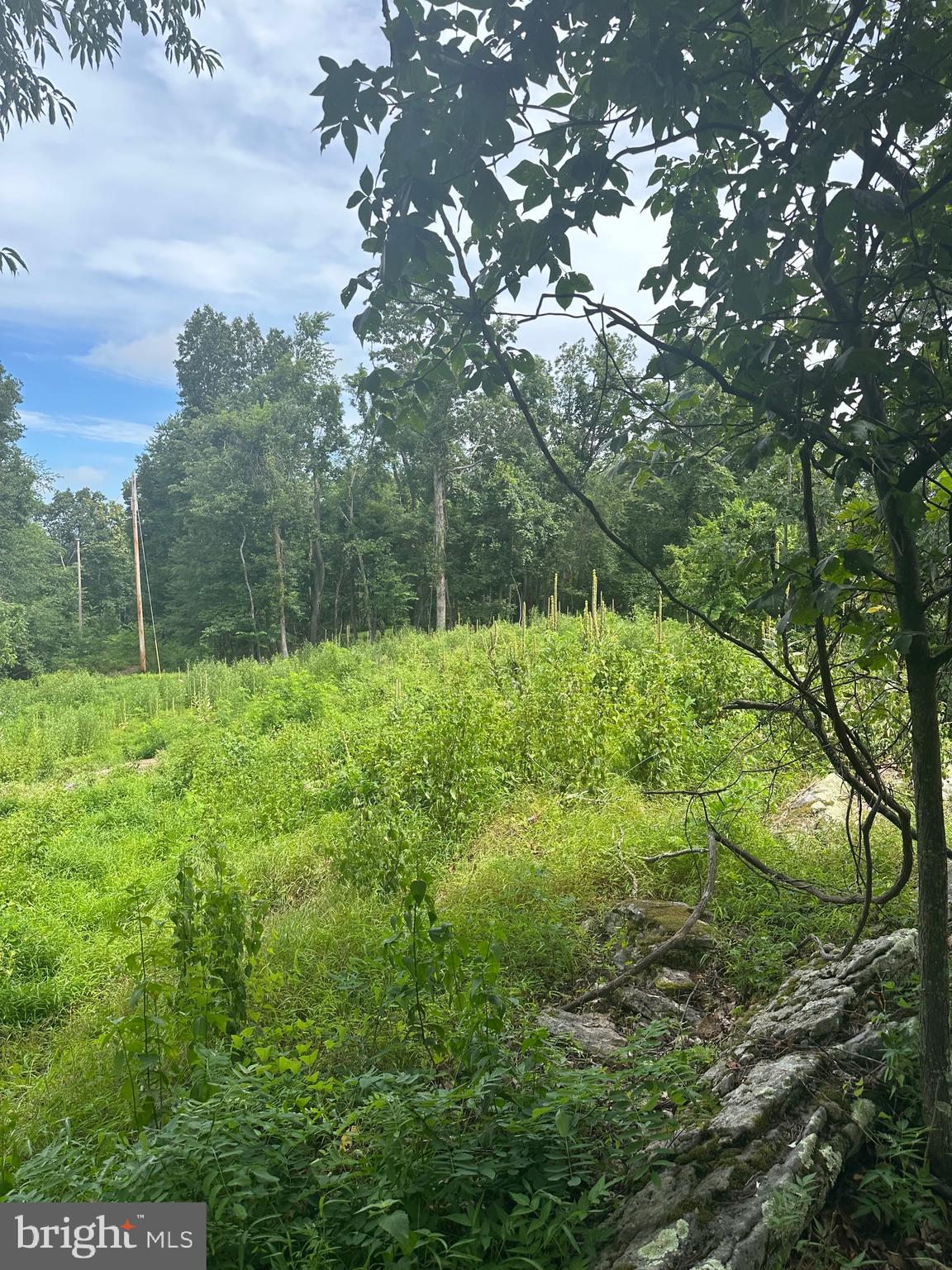 POTOMAC VALLEY VISTA - Land