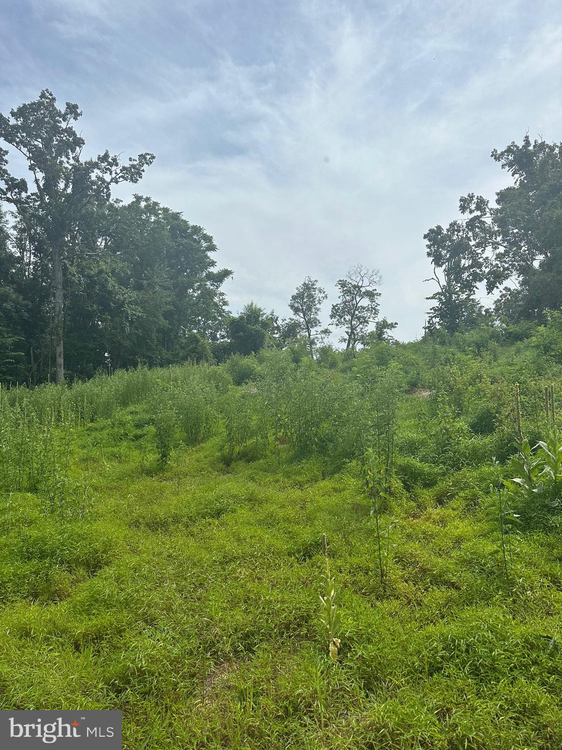 POTOMAC VALLEY VISTA - Land