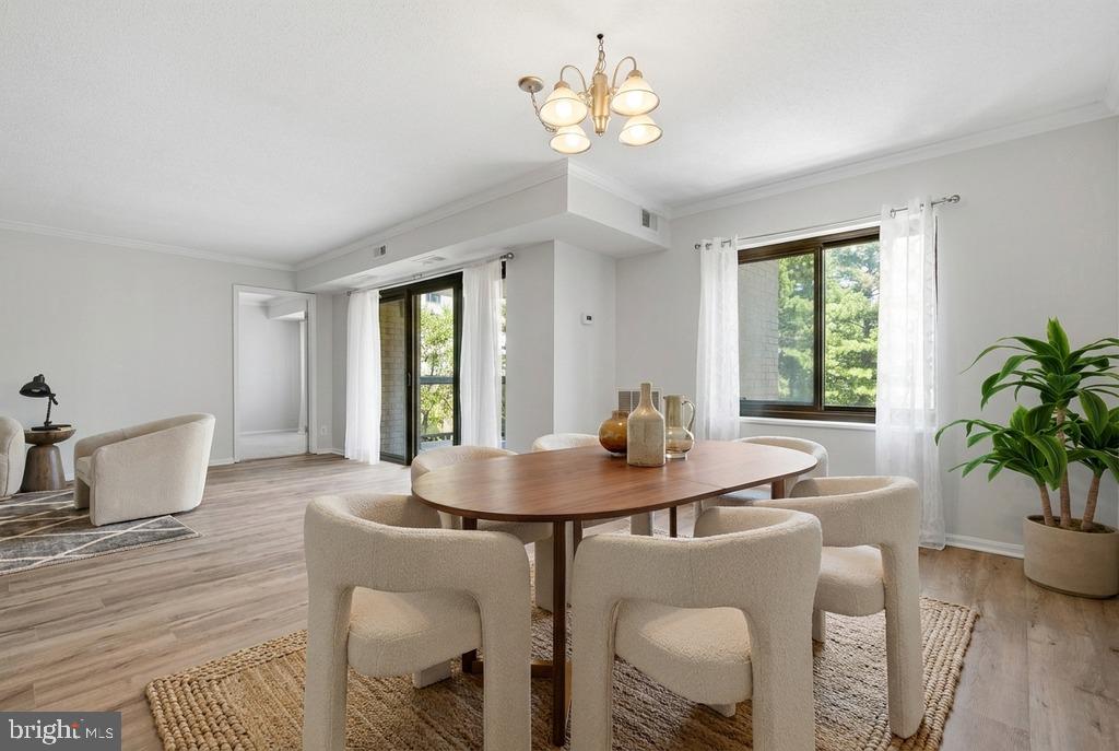 309 YOAKUM PARKWAY 406