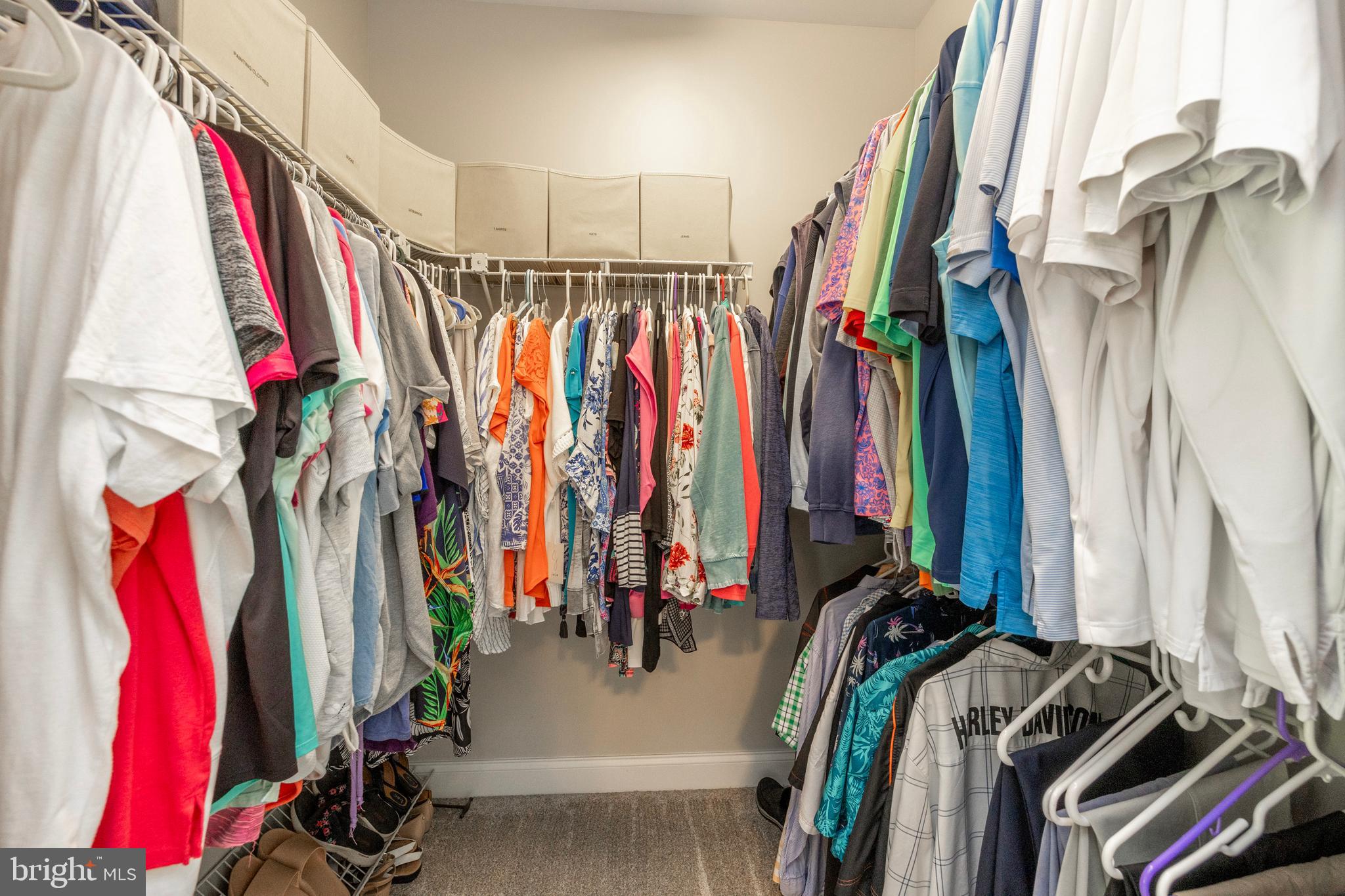 THE WOODS AT ROCK RAYMOND - Residential