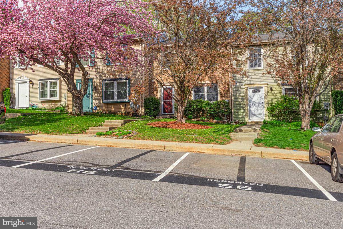 DAMASCUS MANOR - Residential