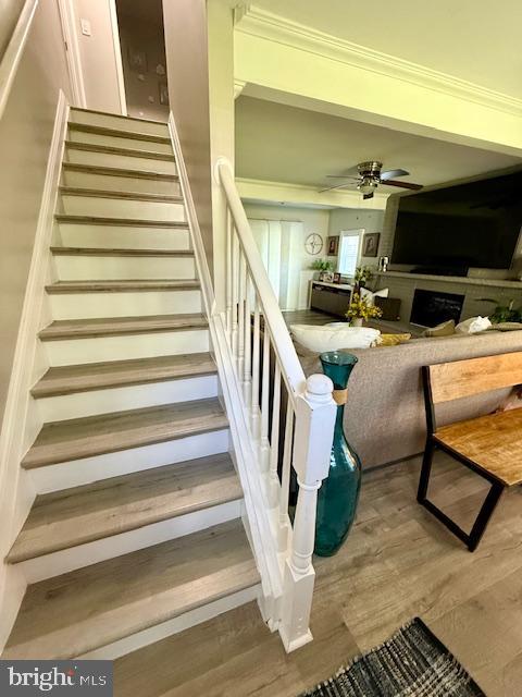 STONEYBROOKE - Residential