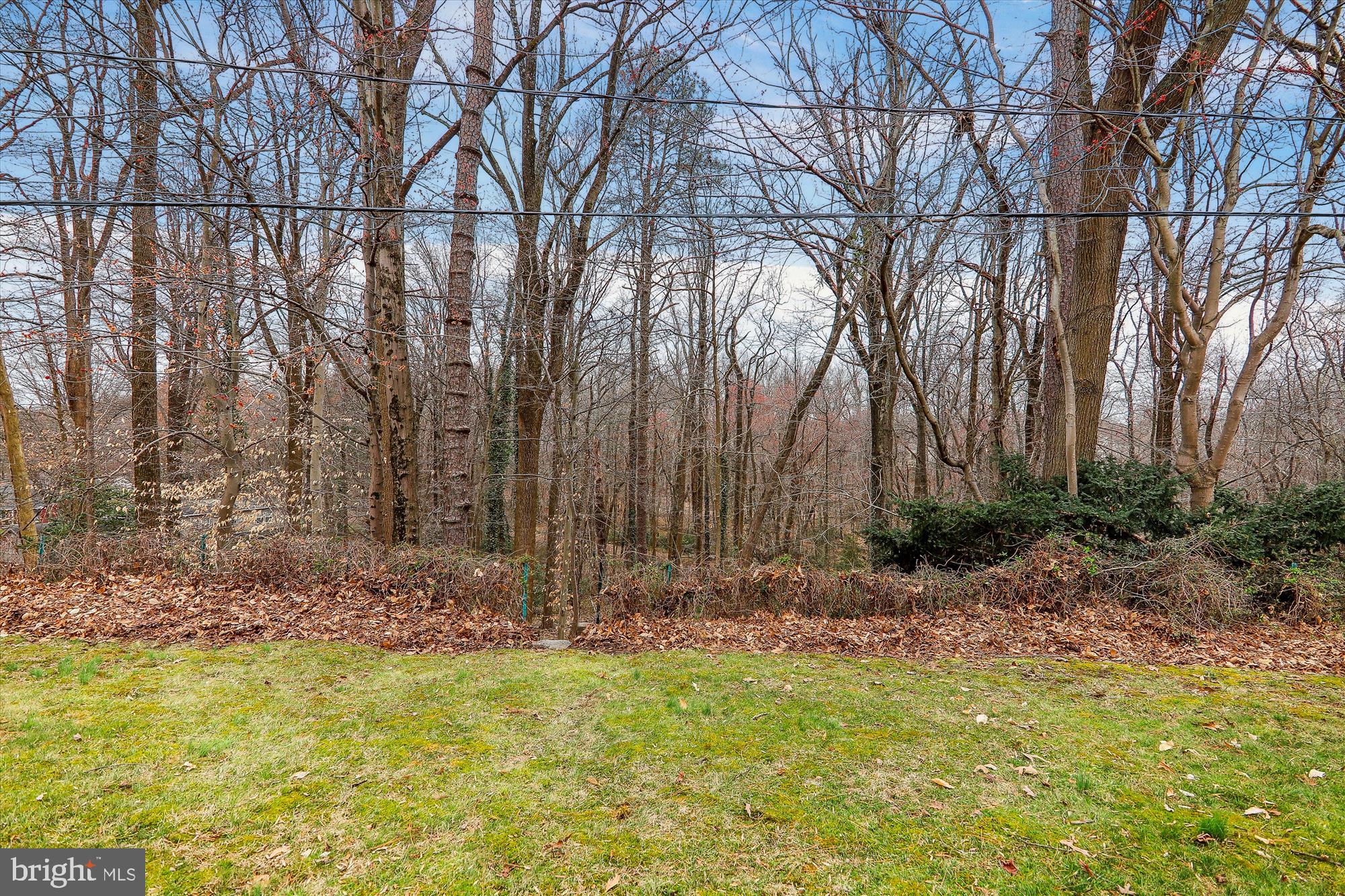 LONGRIDGE AT BELAIR - Residential